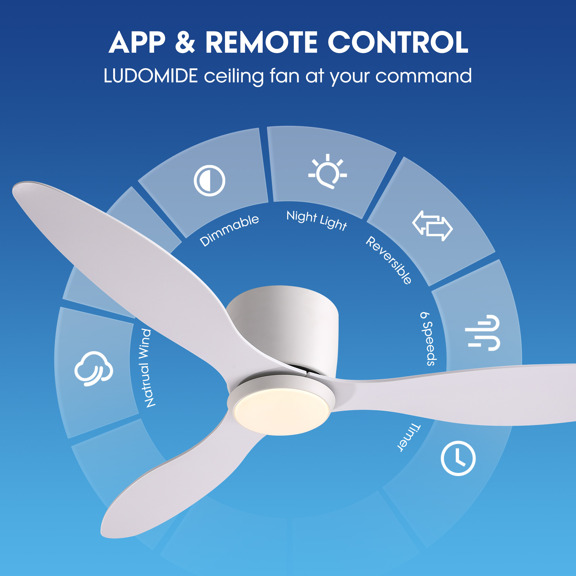 SILJOY CFL-1164-01 Ceiling-Fans - View #7