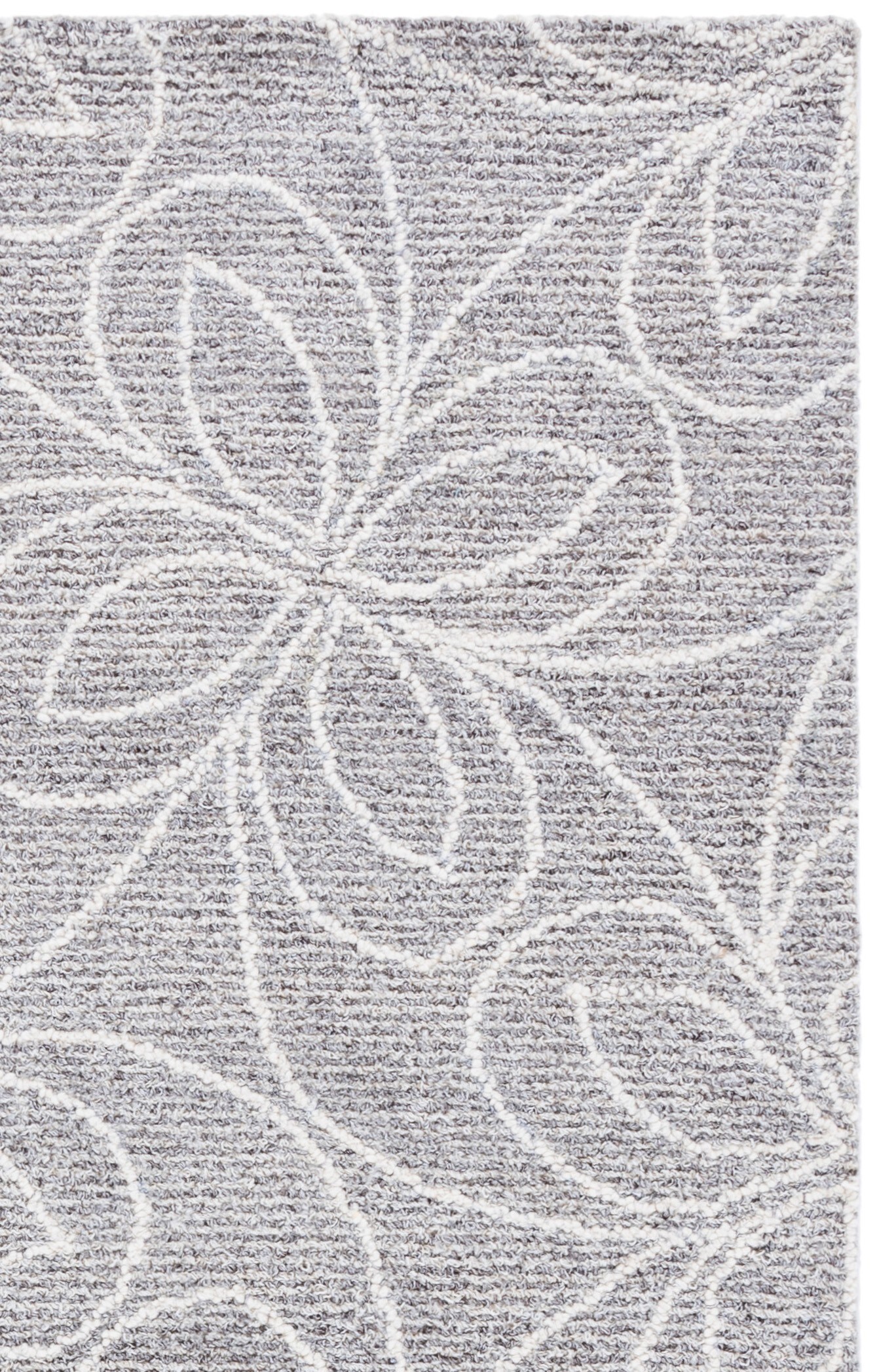 Safavieh EBN368F-6 rugs - View #5