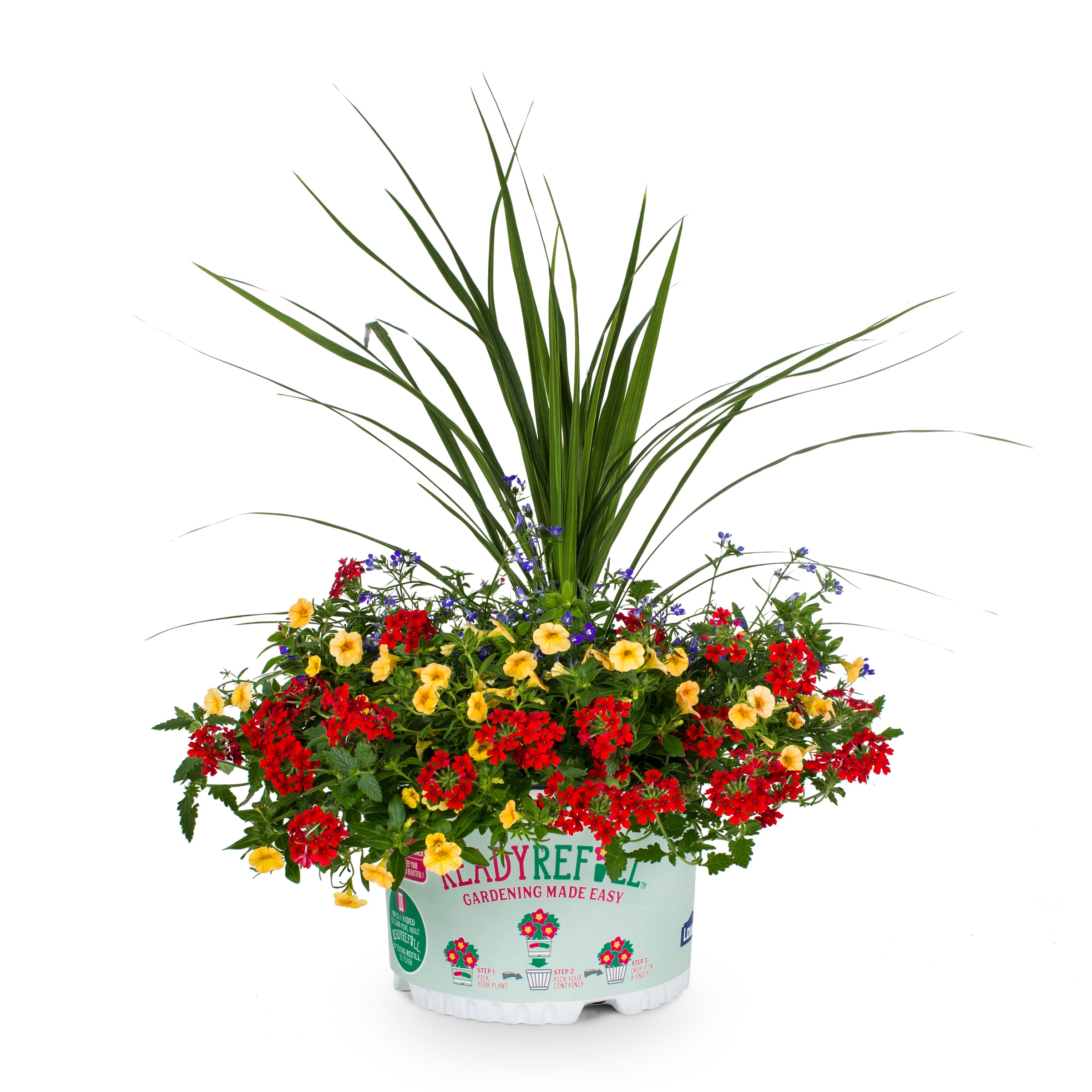 Ready Refill NURSERY Multicolor Mixed Annuals Combinations in 2.5-Gallon Pot