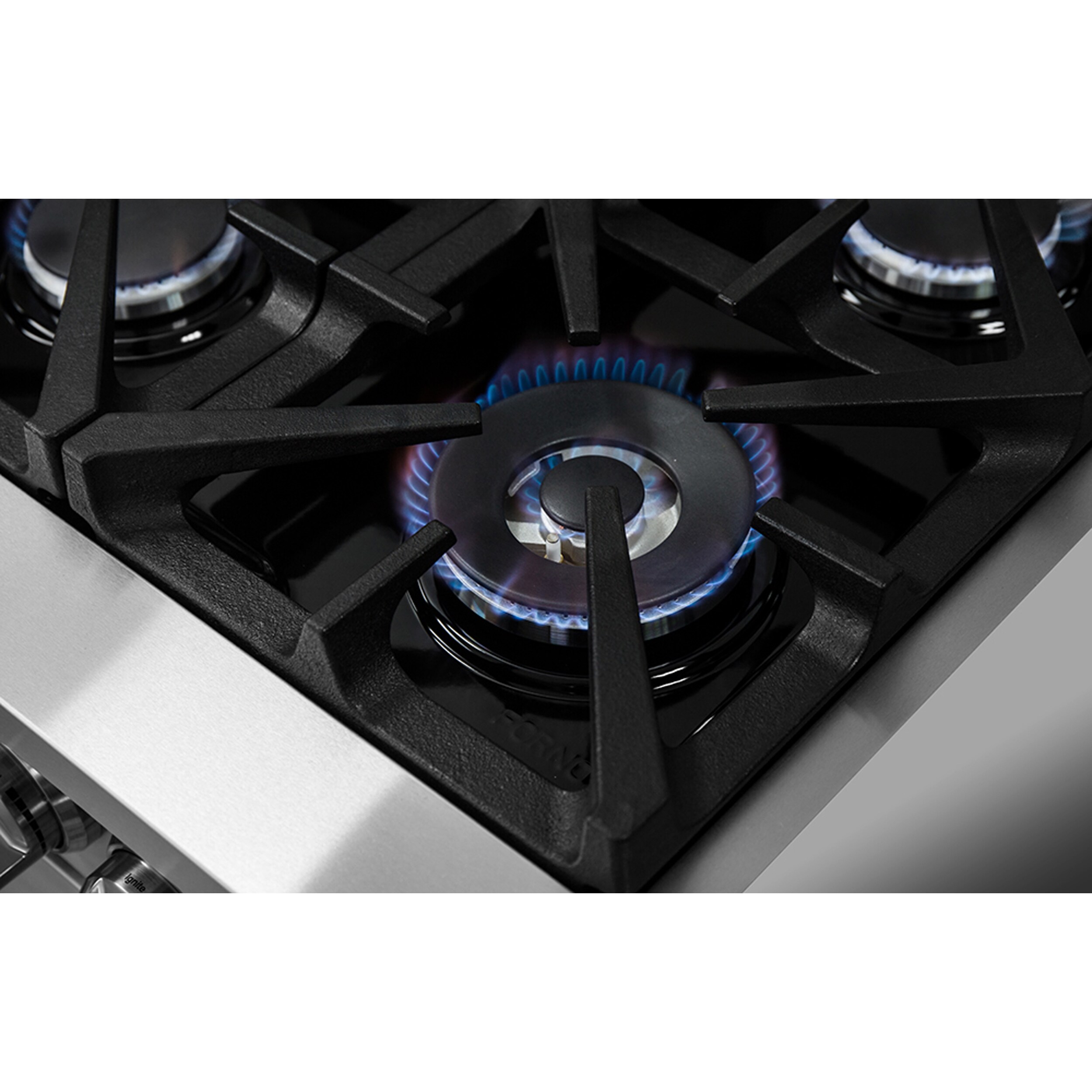 Massimo 48-inch Stainless Steel Freestanding Gas Range with Griddle