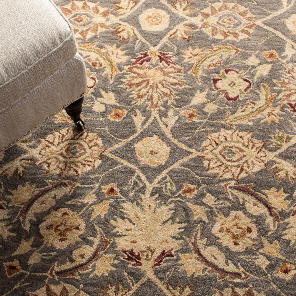 Safavieh AN549B-6R rugs - View #7