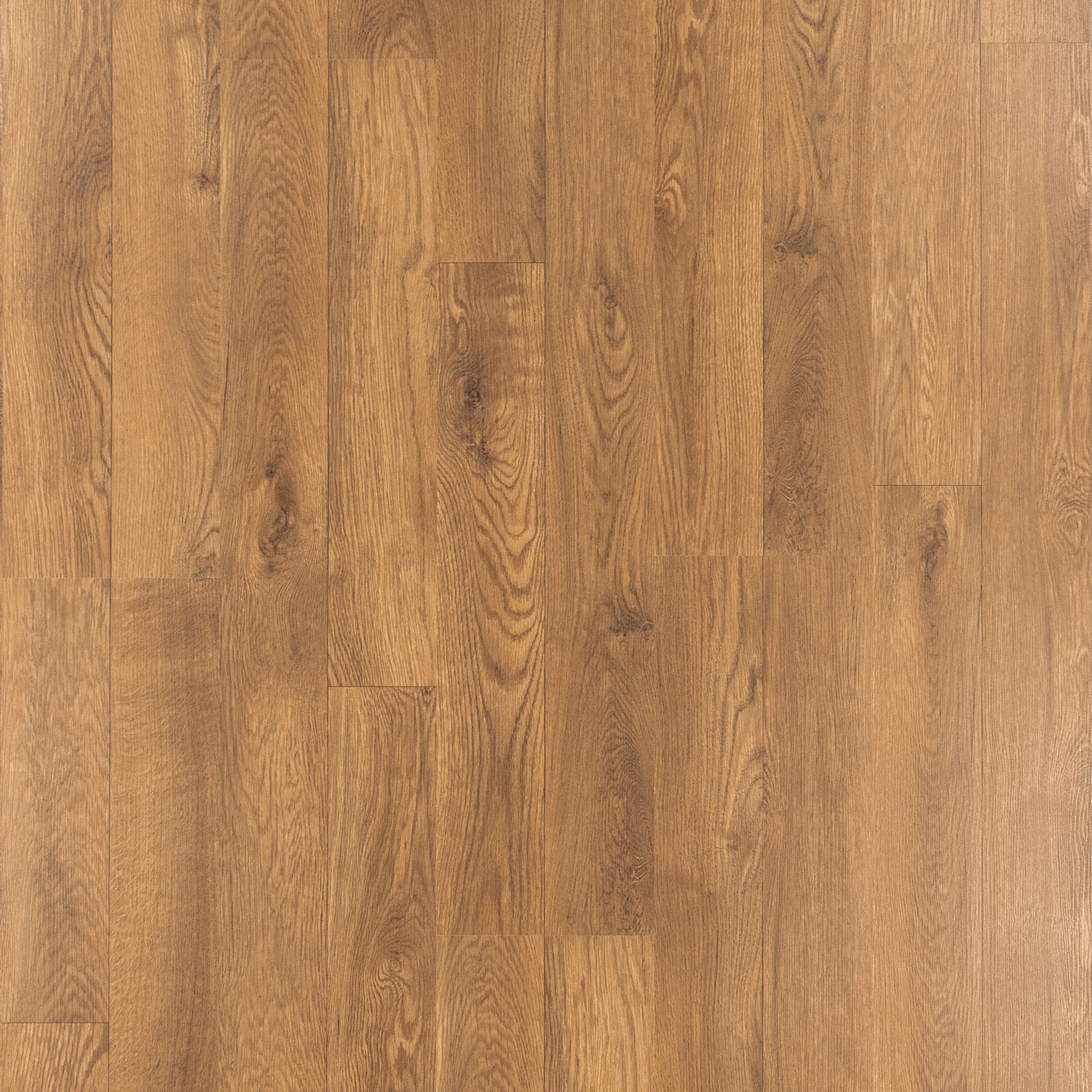 Acorn Oak 8-mm T x 8-in W x 48-in L Wood Plank Laminate Flooring (21.26-sq ft) in Brown | - Style Selections 360831-3K456