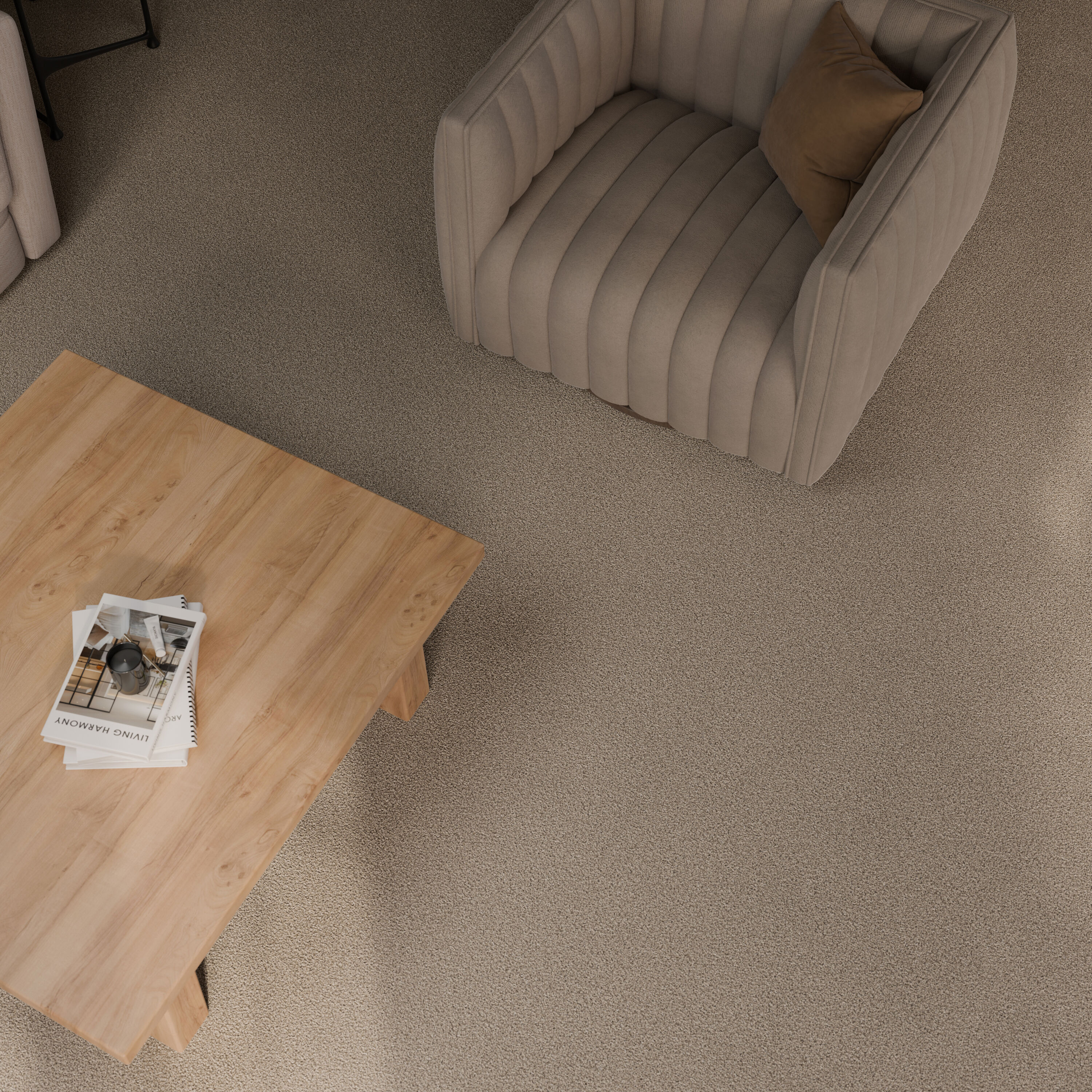 STAINMASTER 7L956-200-SAMP Carpet-Samples - View #5