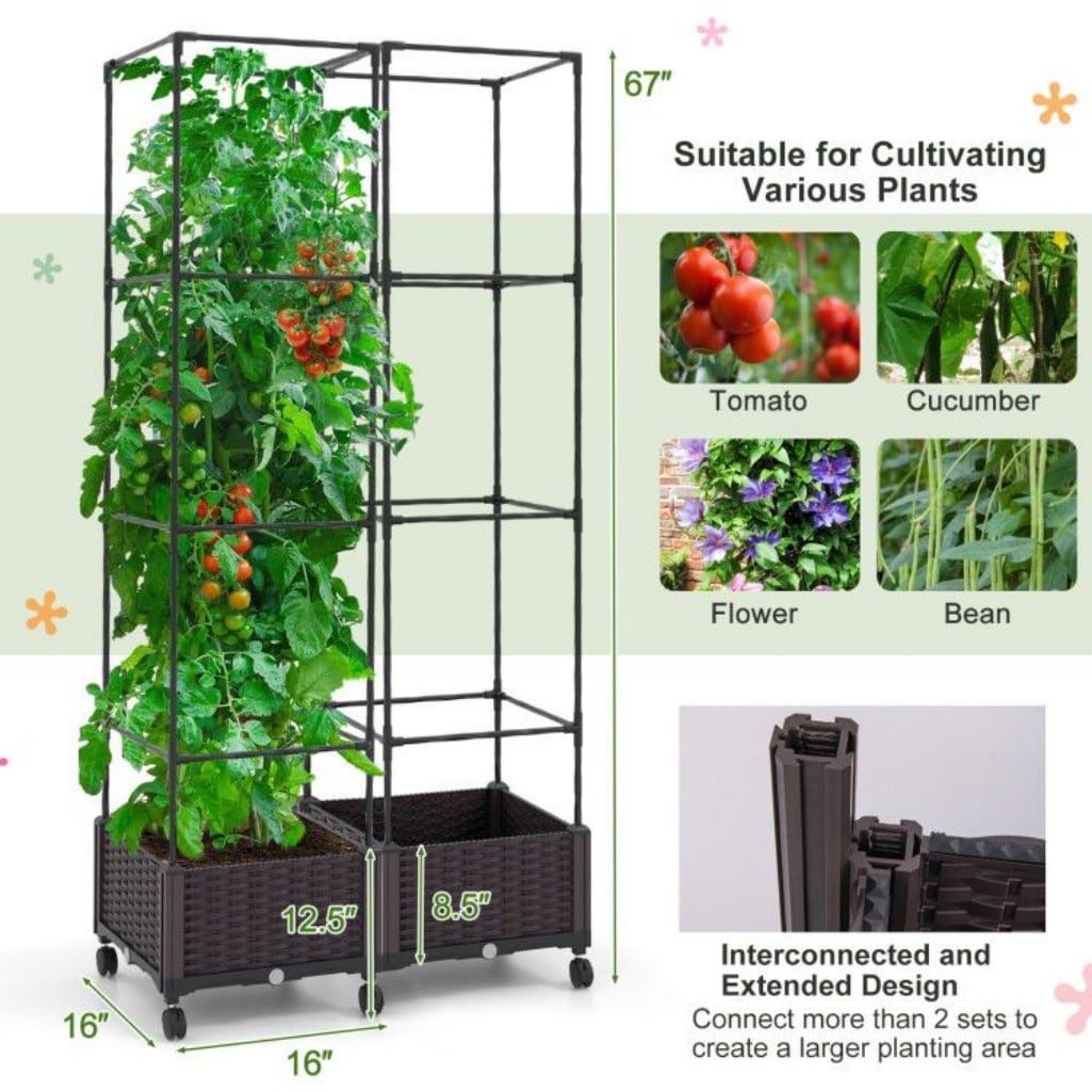 AHIOU HOME ZAAHD-HQRANWGT Garden-Trellis - View #10