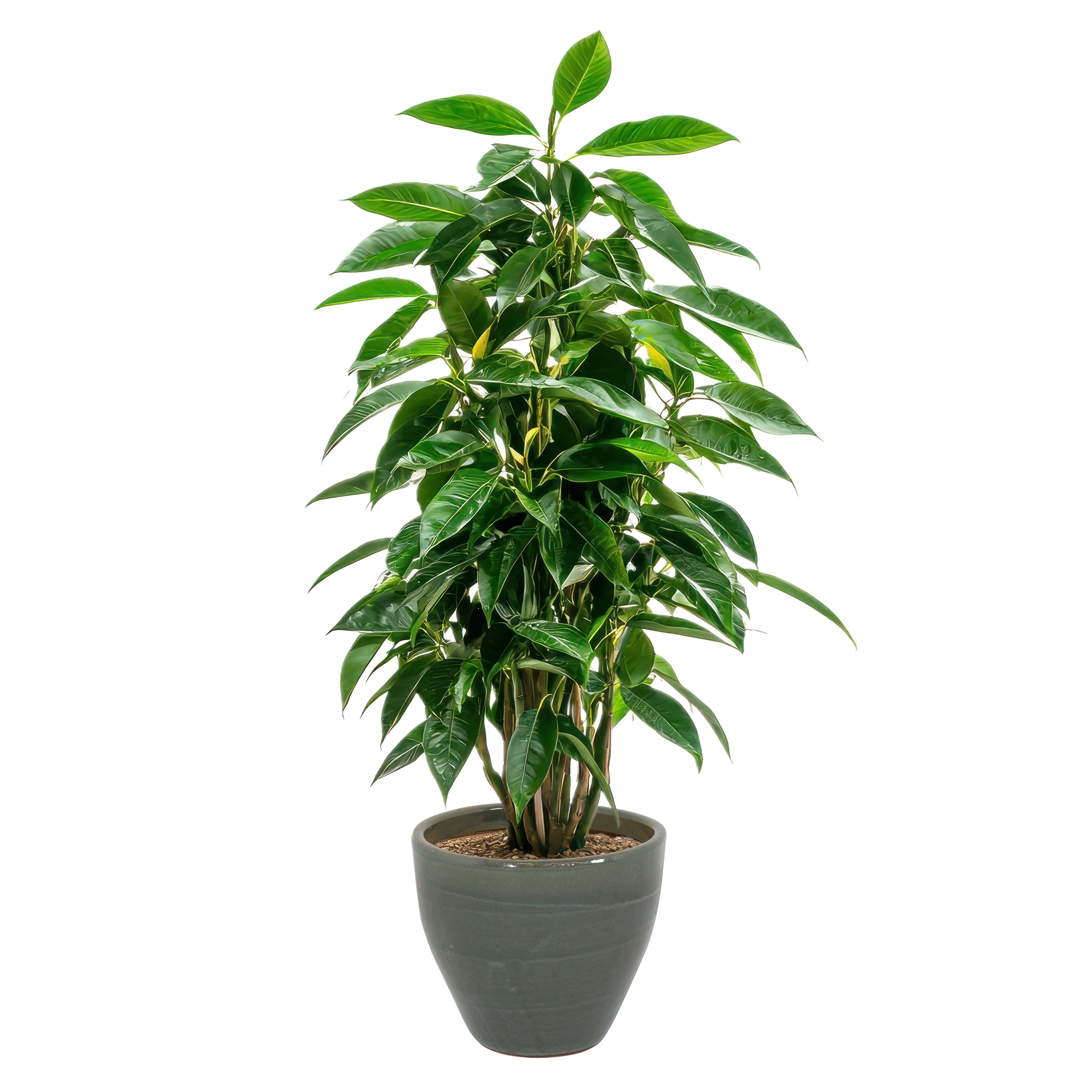 Sunnydaze Decor AP-077 Planter-Window-Box - View #10