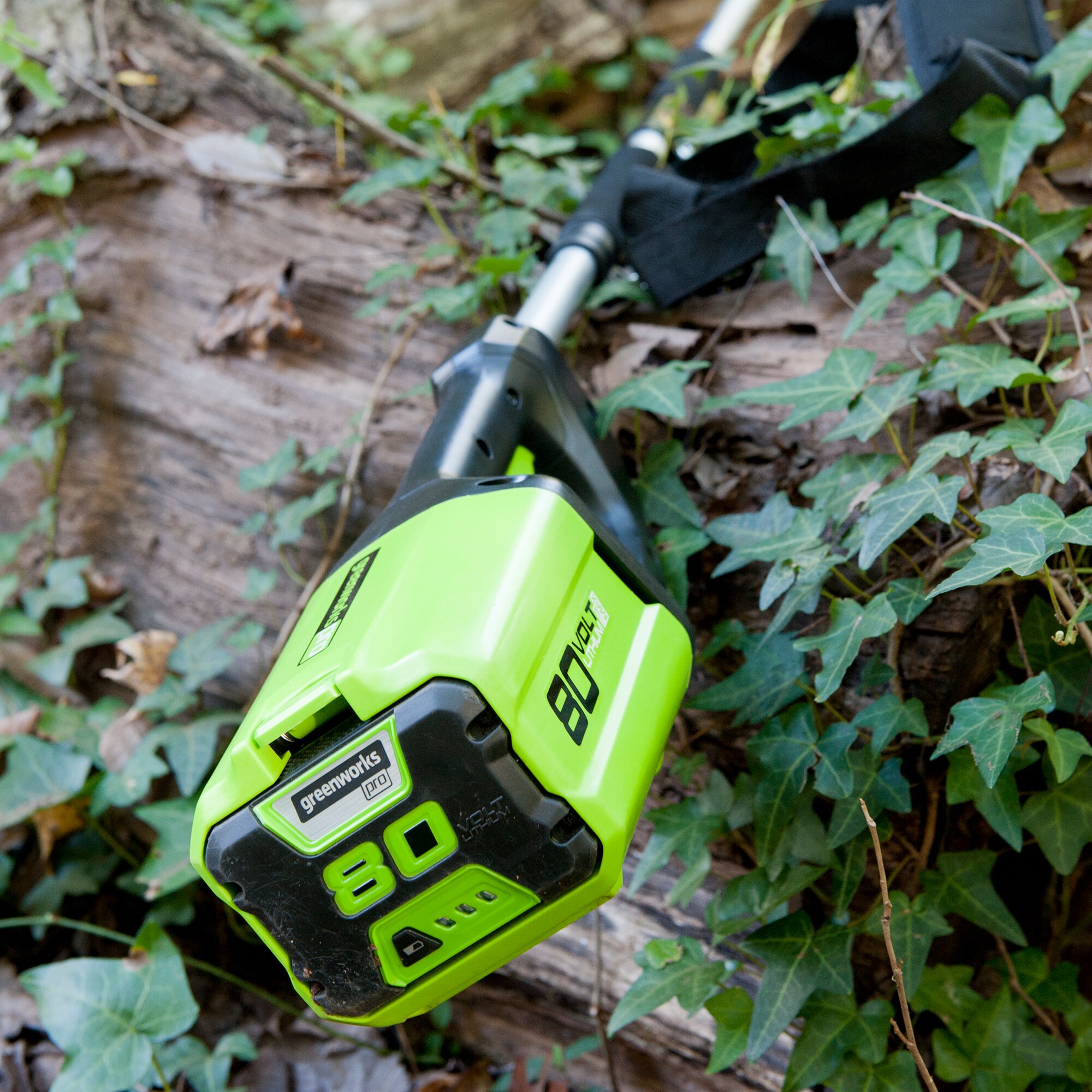 Greenworks 80 volt online pole saw