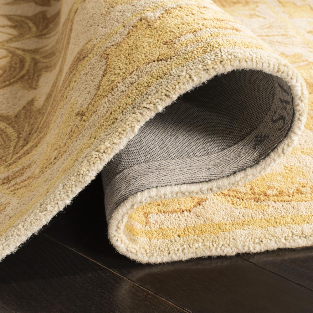 Safavieh AN541B-5 rugs - View #6