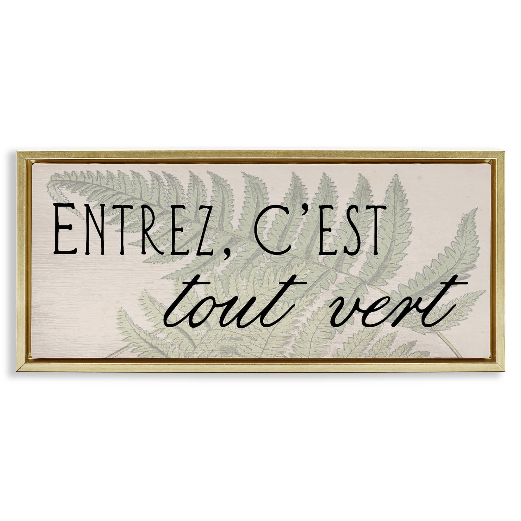 Stupell Industries BT-141-FFG-10X24 French It's All Green Gold Framed Floater Canvas Wall Art By Lil' Rue 25 x 11