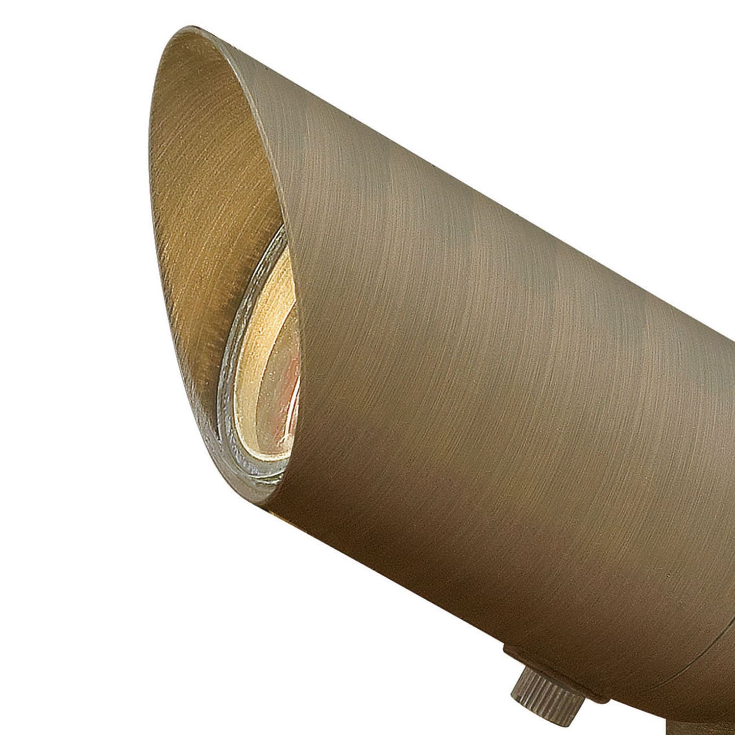 Matte Bronze LED Outdoor Spotlight with Clear Lens