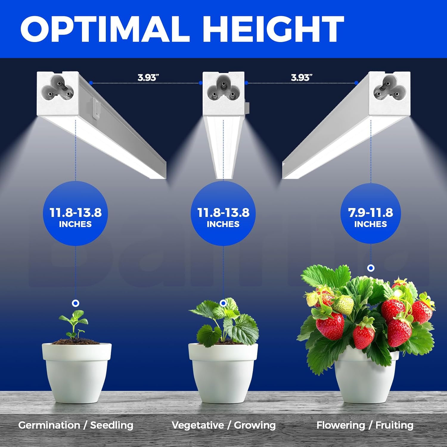 Barrina T5 Grow Lights for Indoor Plants 5000K Full Spectrum 1FT