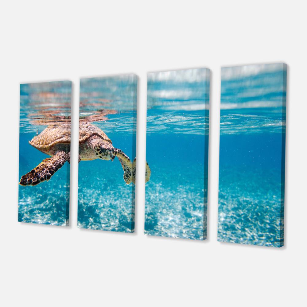 Designart Large Hawksbill Sea Turtle- Abstract Canvas Art Print at ...