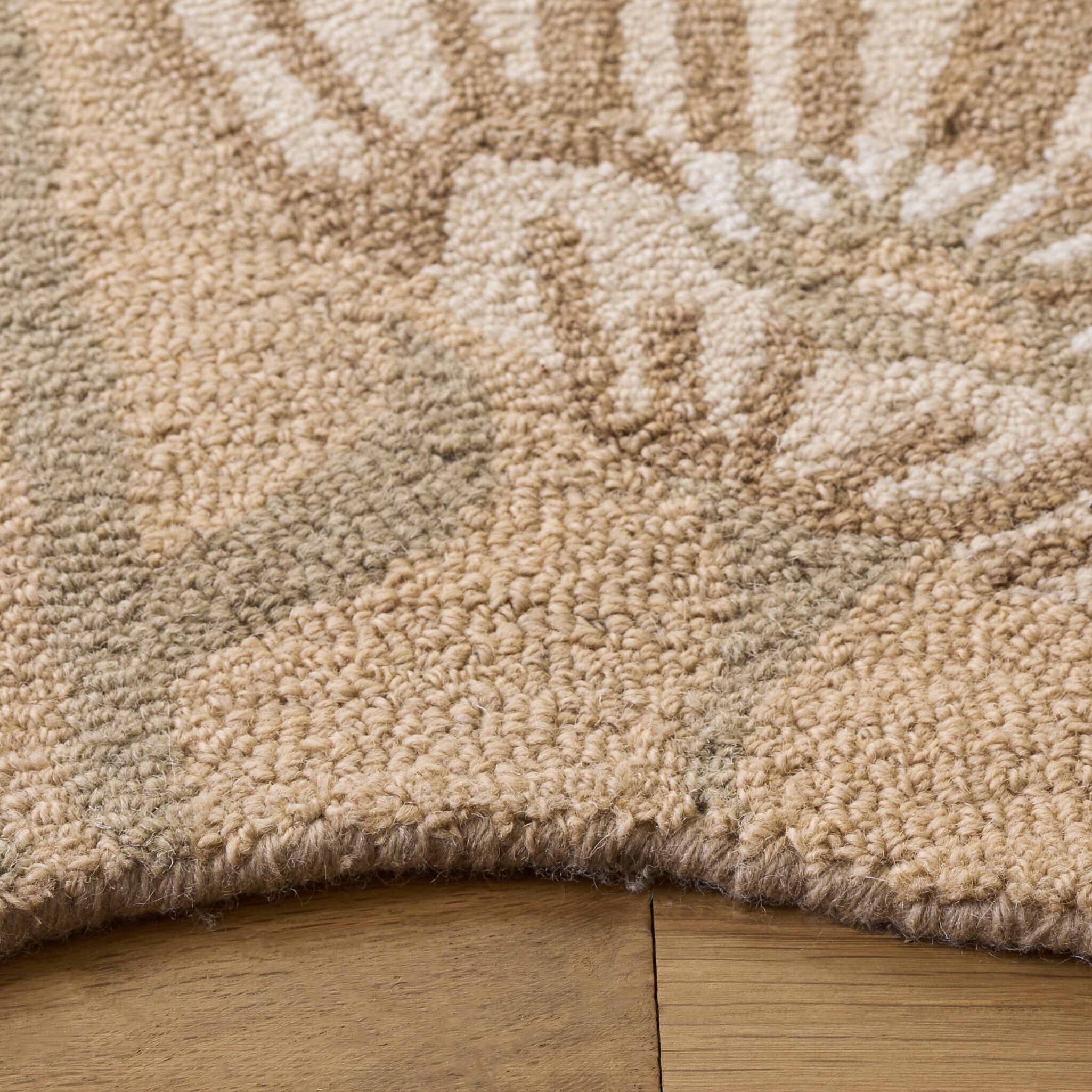 Safavieh JAR580B-4R rugs - View #3