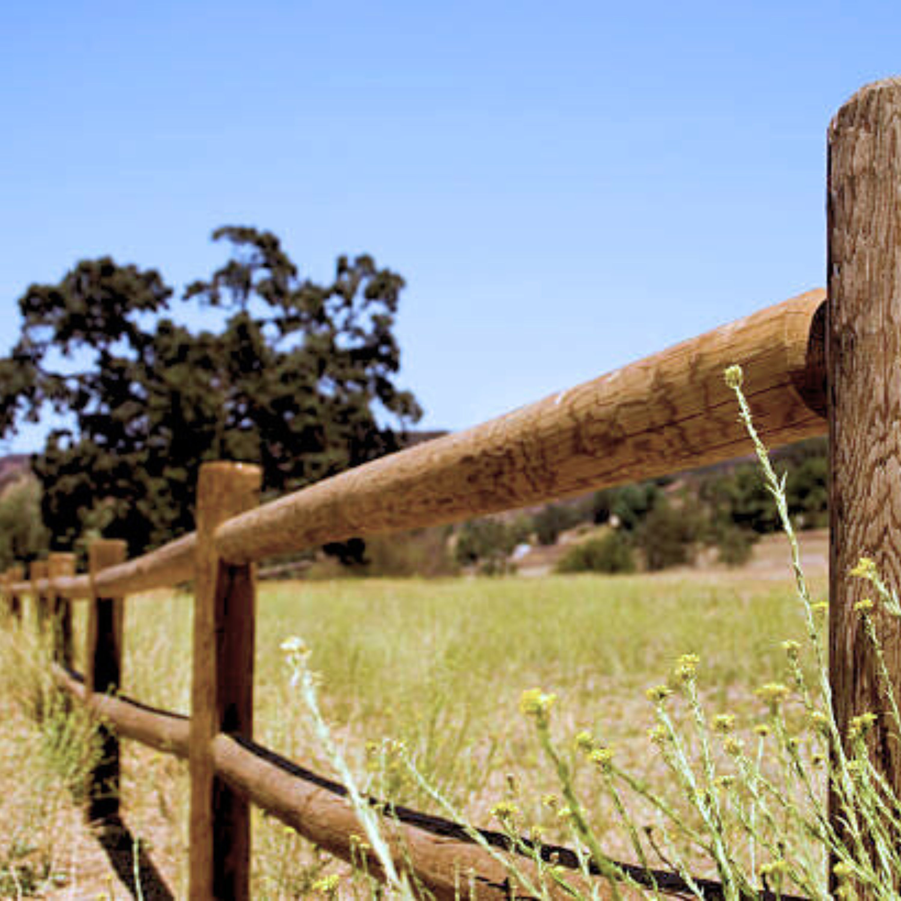 Severe Weather 9055 Wood-Fence-Posts - View #6