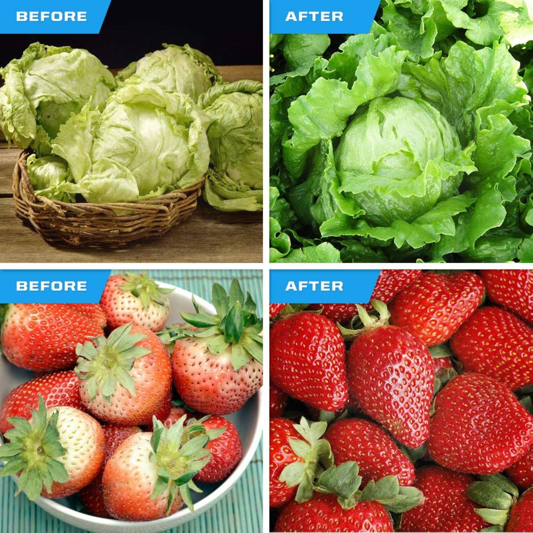 Bluex Bulbs GROW-FULL-A19-9W Grow-Light-Bulbs - View #6