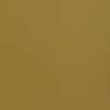 Brushed Gold