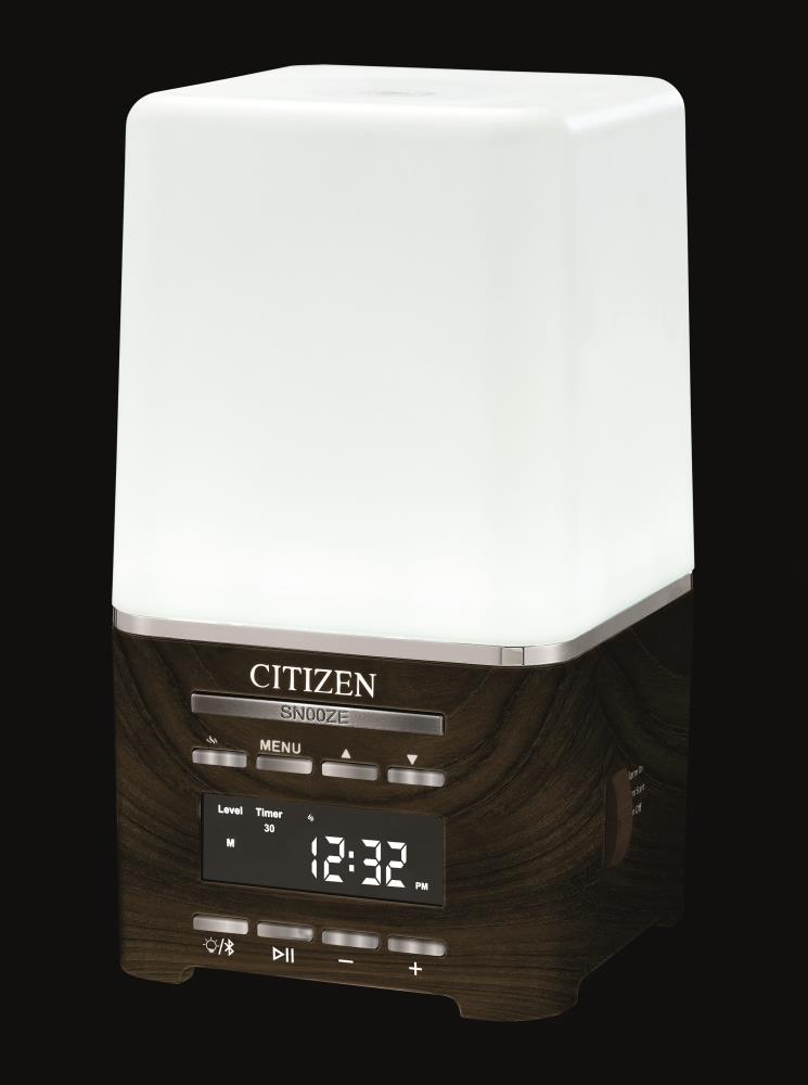 Citizen CC1038 Indoor-Outdoor-Clocks - View #5
