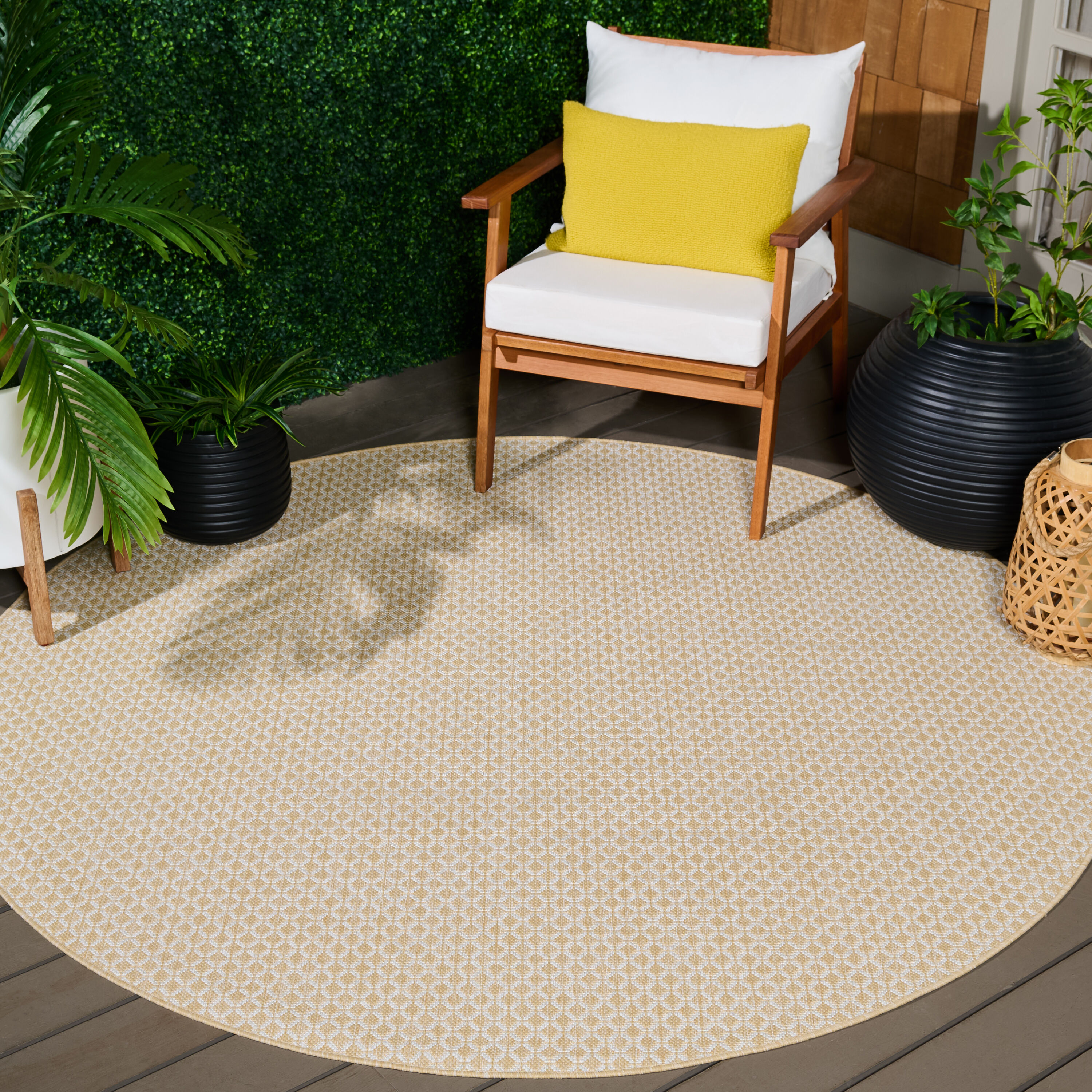 Safavieh TER804B-7R rugs - View #2