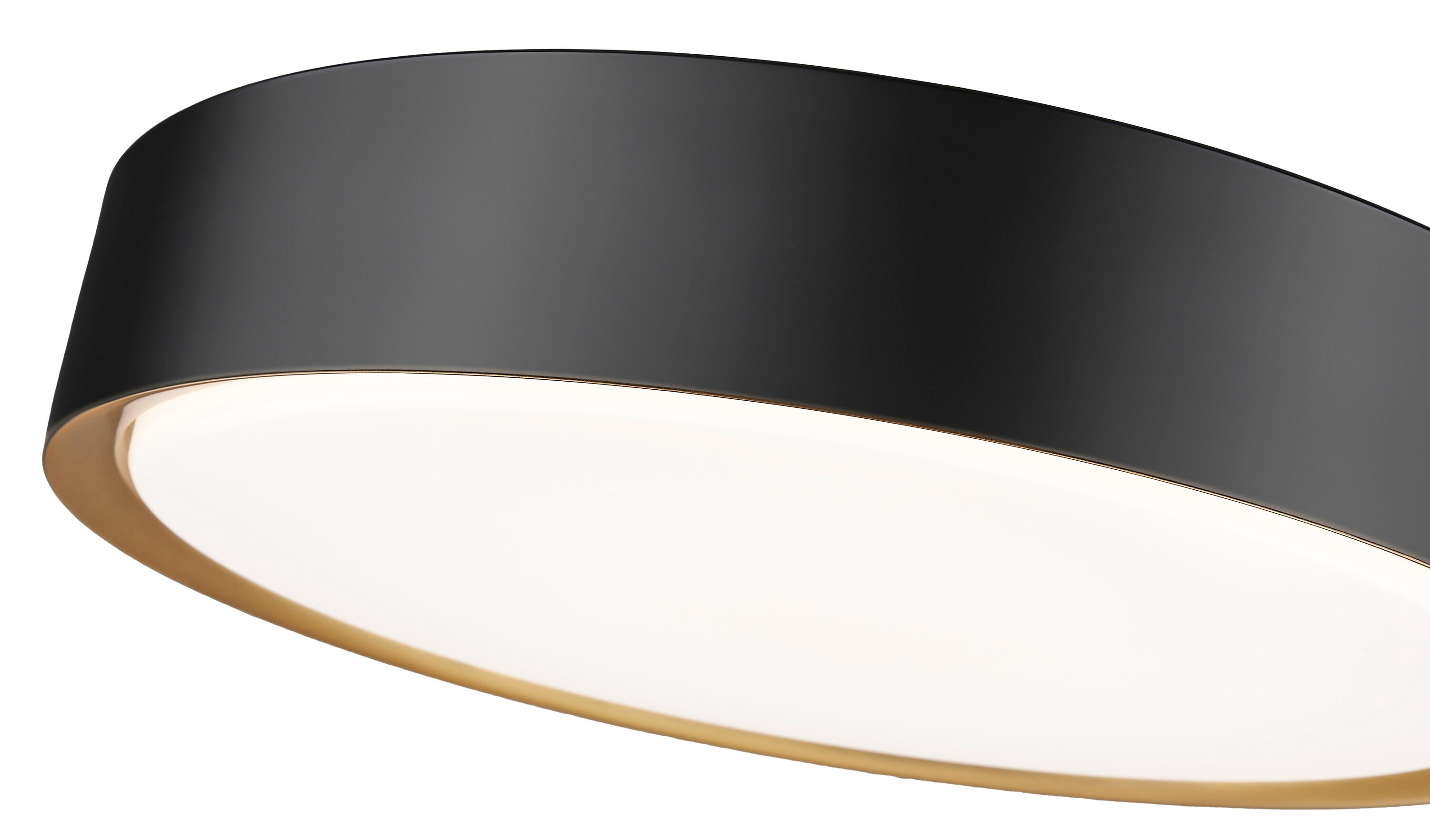 Z-Lite 1014F16-MB-MGLD-LED flushmounts - View #6
