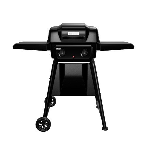 American Gourmet Black 2-Burner Liquid Propane Gas Grill 465635821