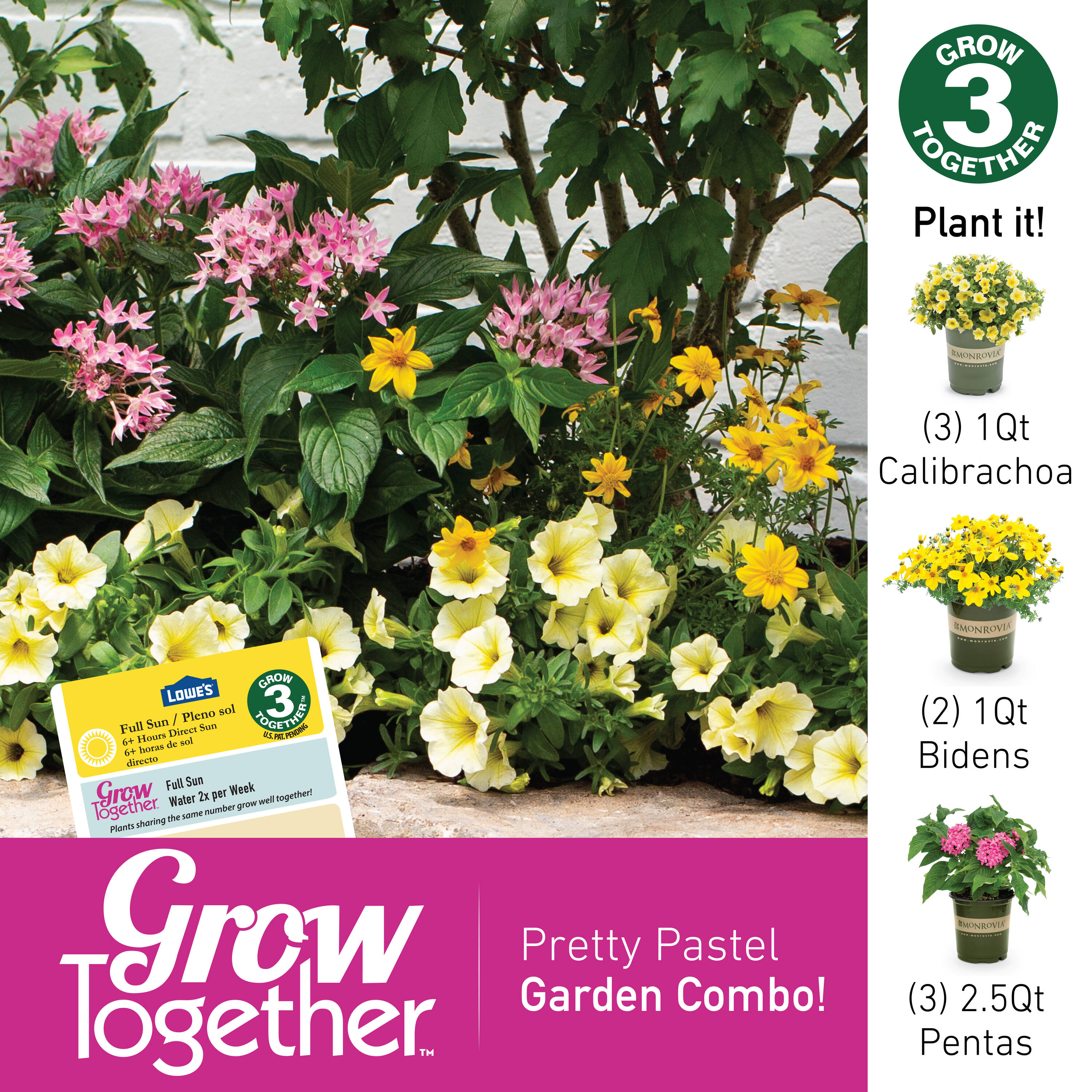 Monrovia Orange Calibrachoa in 2.5-Quart Pot 3-Pack in the Annuals ...