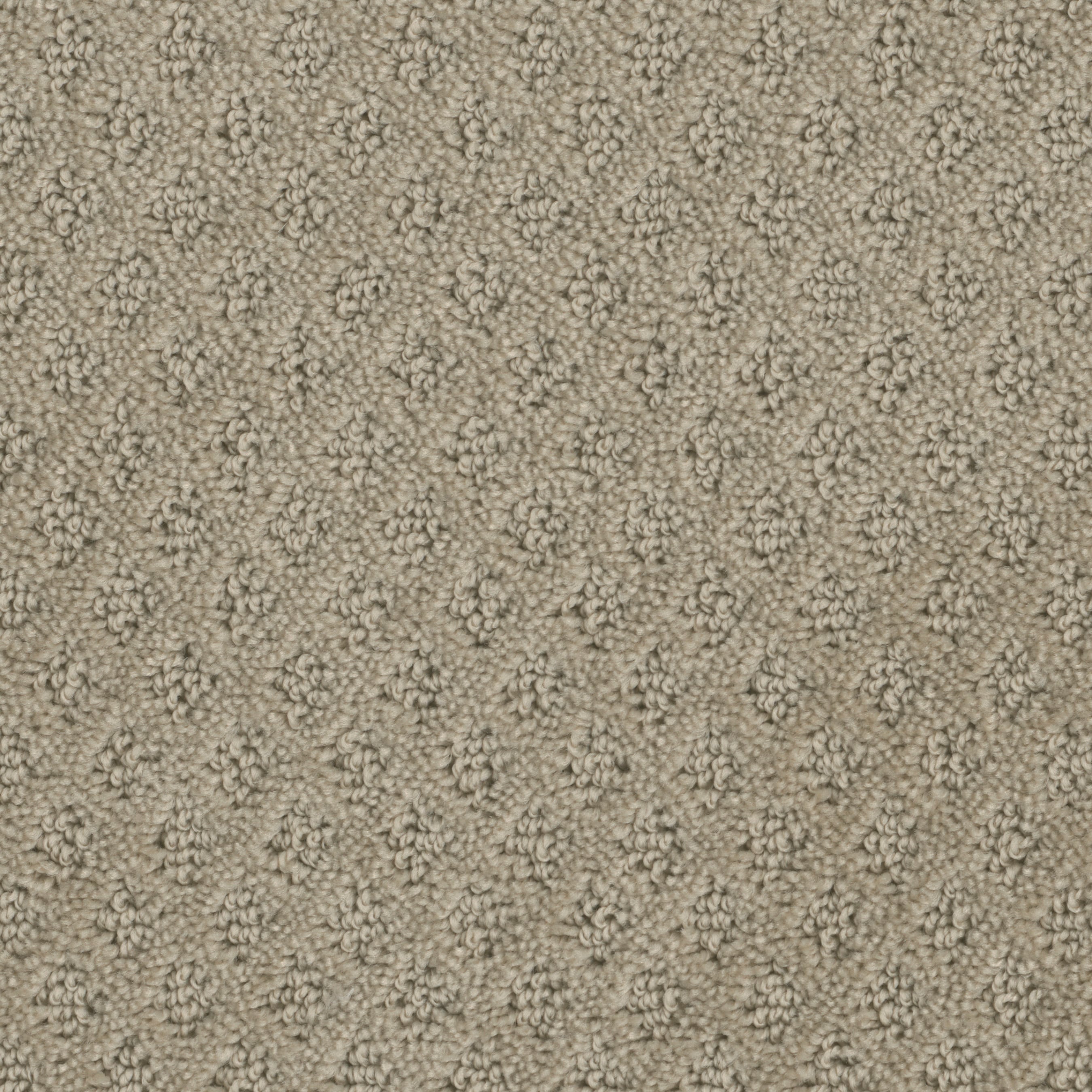 Style Selections (sample) Blueprint Draft Brown 25-oz Sq Yard Polyester 