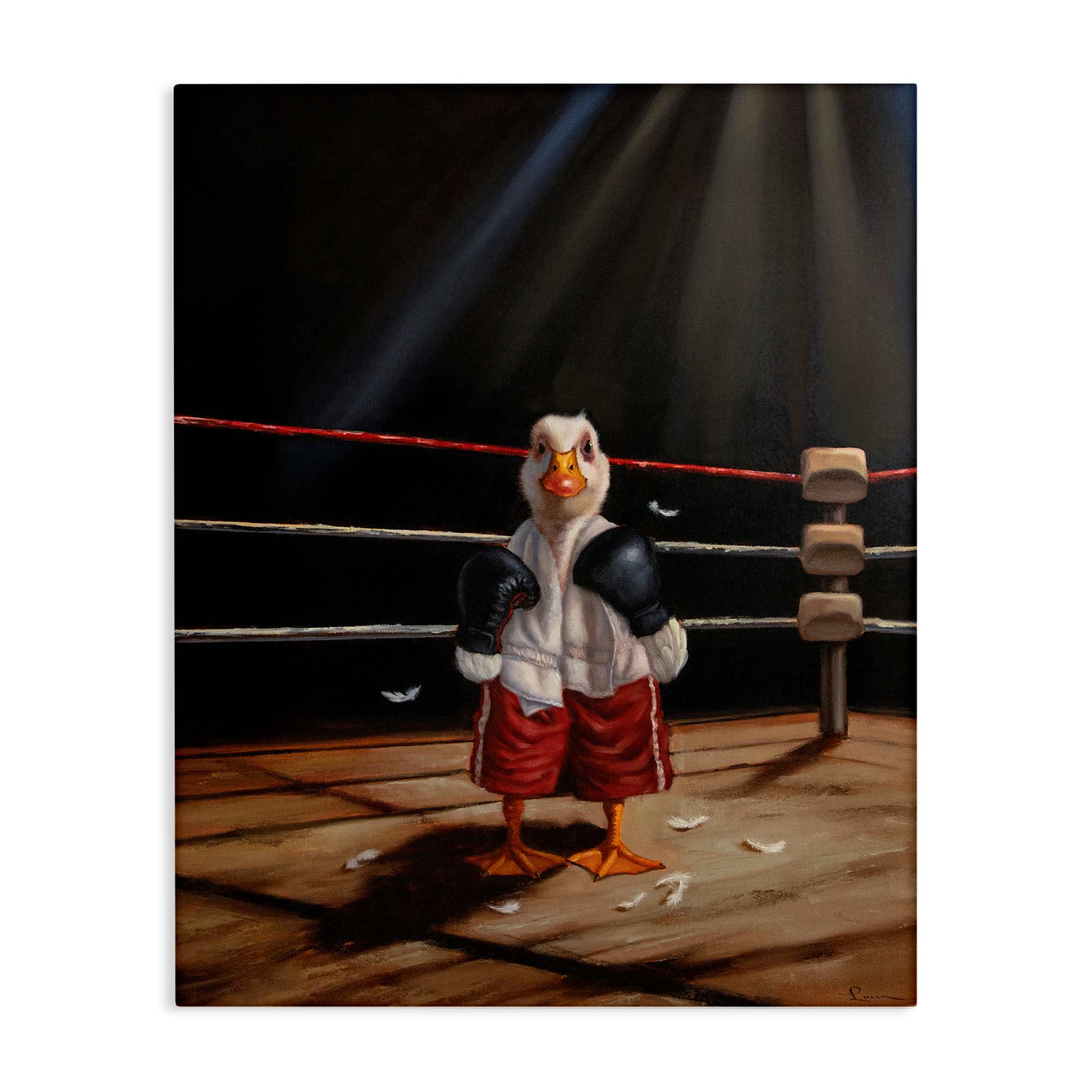 Stupell Industries BS-779-CN-16X20 Duck in Boxing Ring Canvas design by Lucia Heffernan