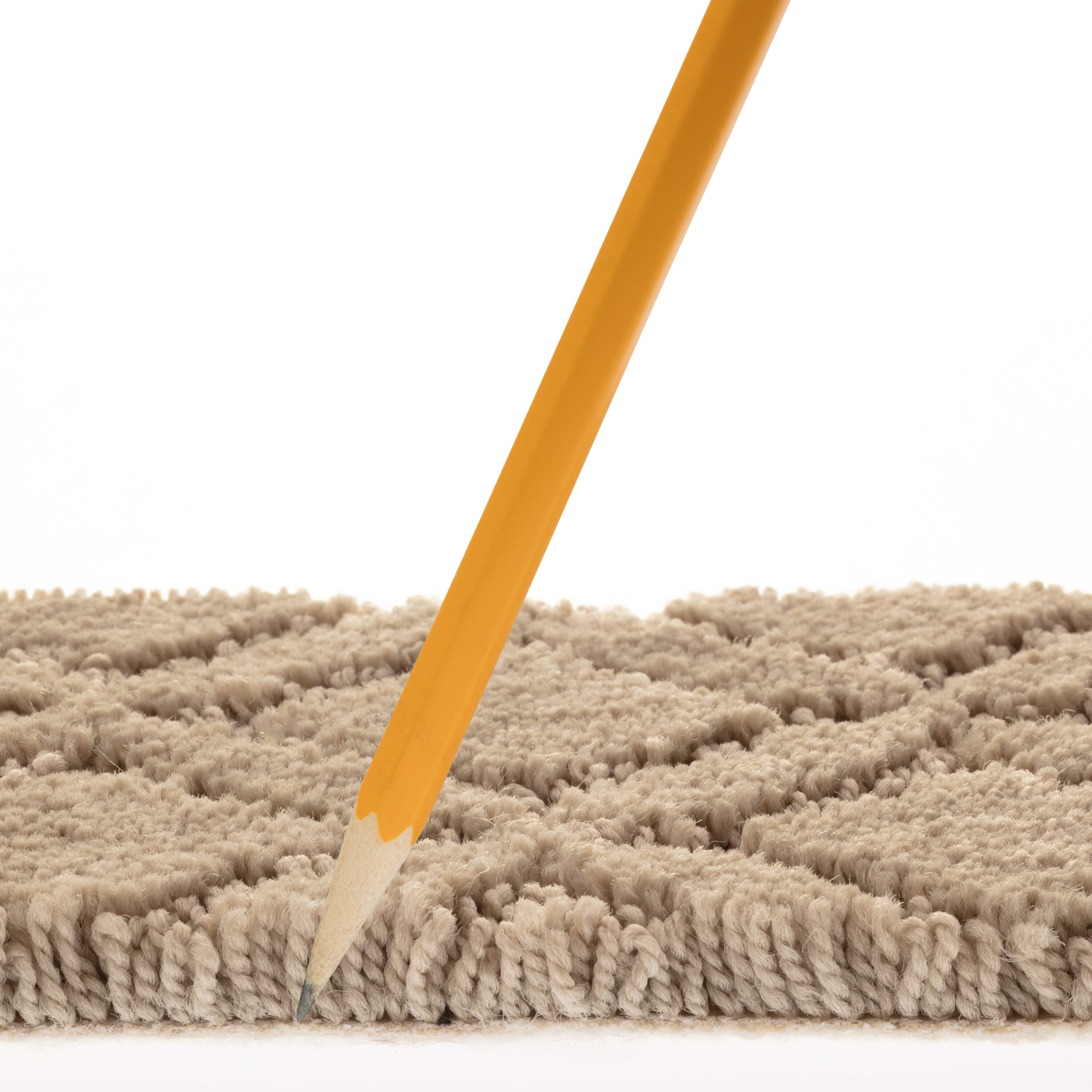 STAINMASTER PetProtect 7L90100512 Carpet-Panel - View #6
