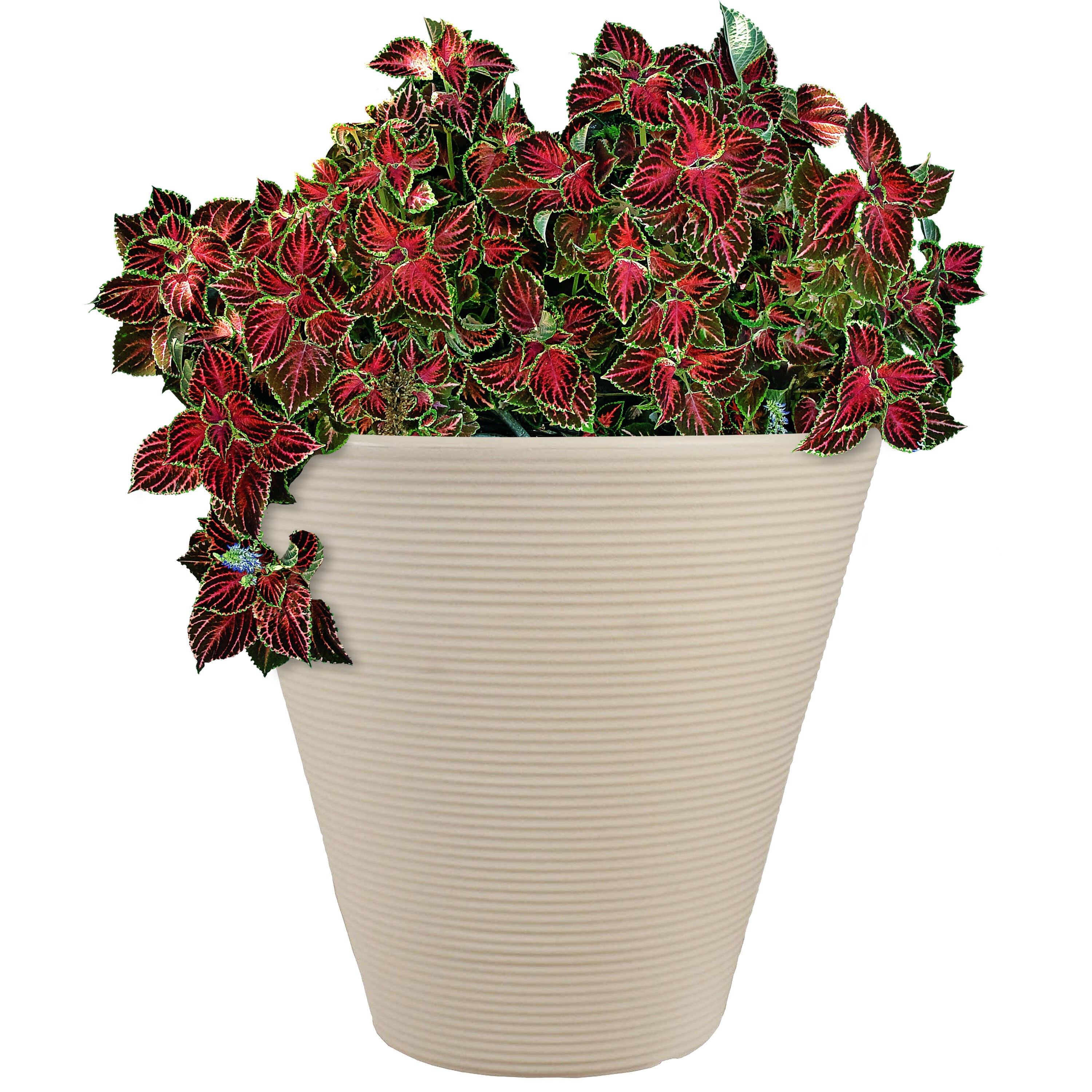 Sunnydaze Decor DG-875 Round 8.75-in W x 14.75-in H x 8.75-in D Off-white Resin Indoor/Outdoor Planter
