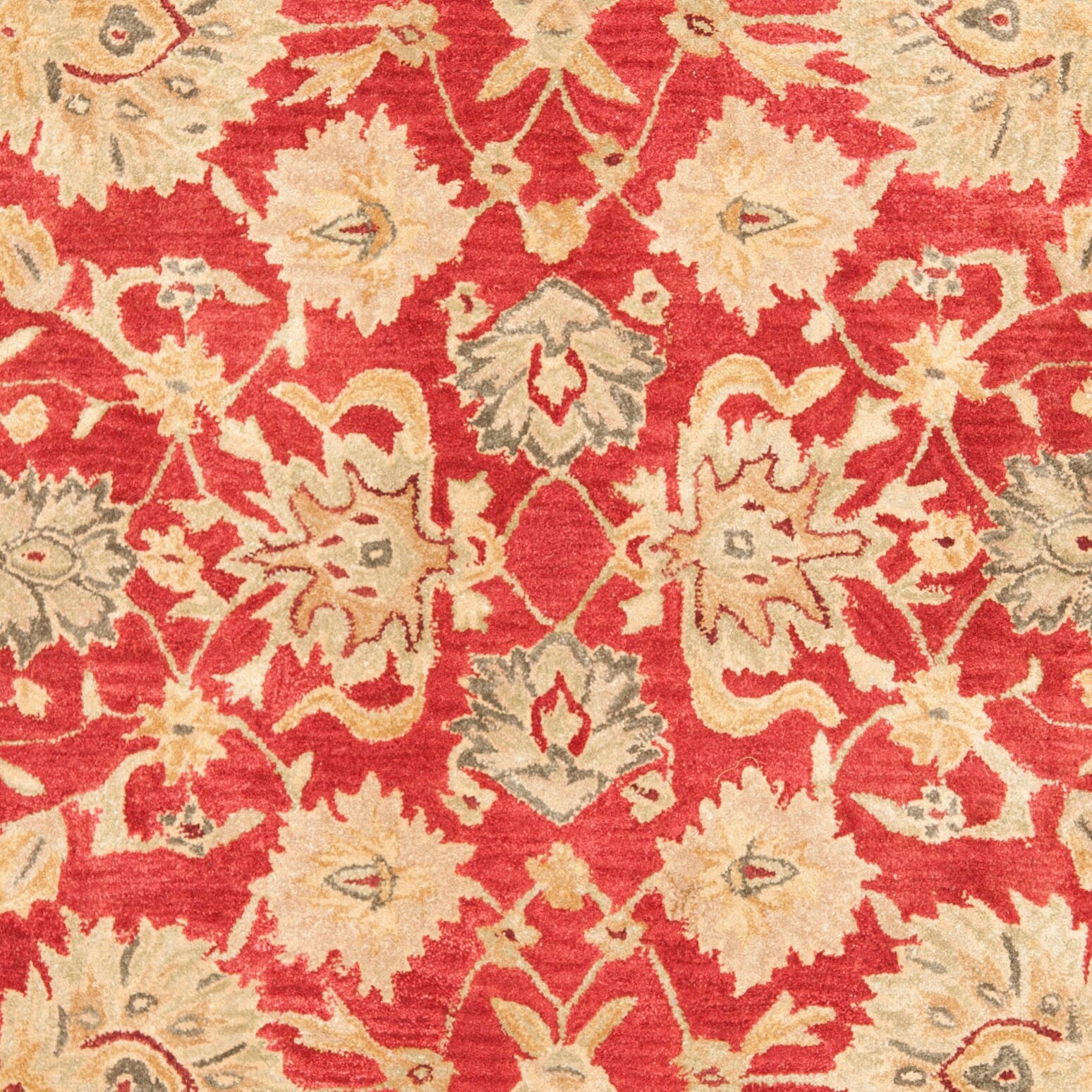 Safavieh AN522A-5 rugs - View #8
