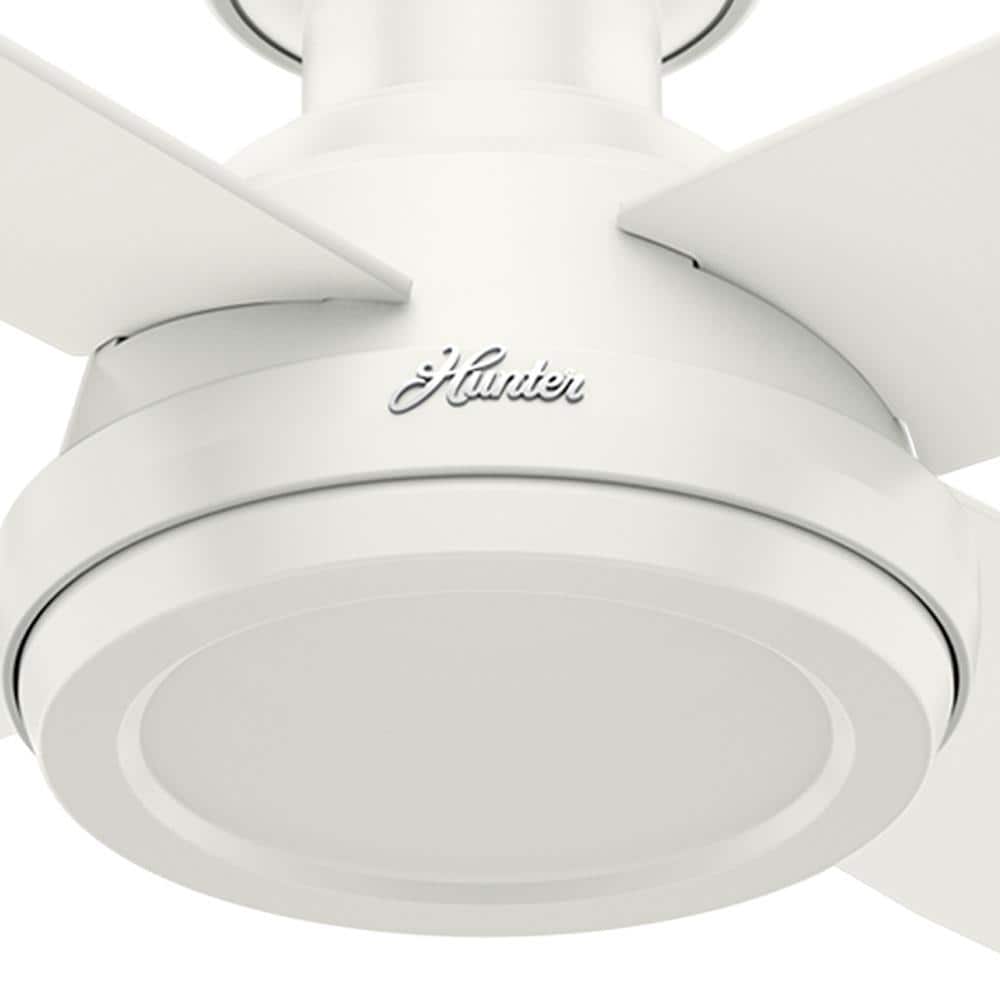 Hunter 59248 Ceiling-Fans - View #14