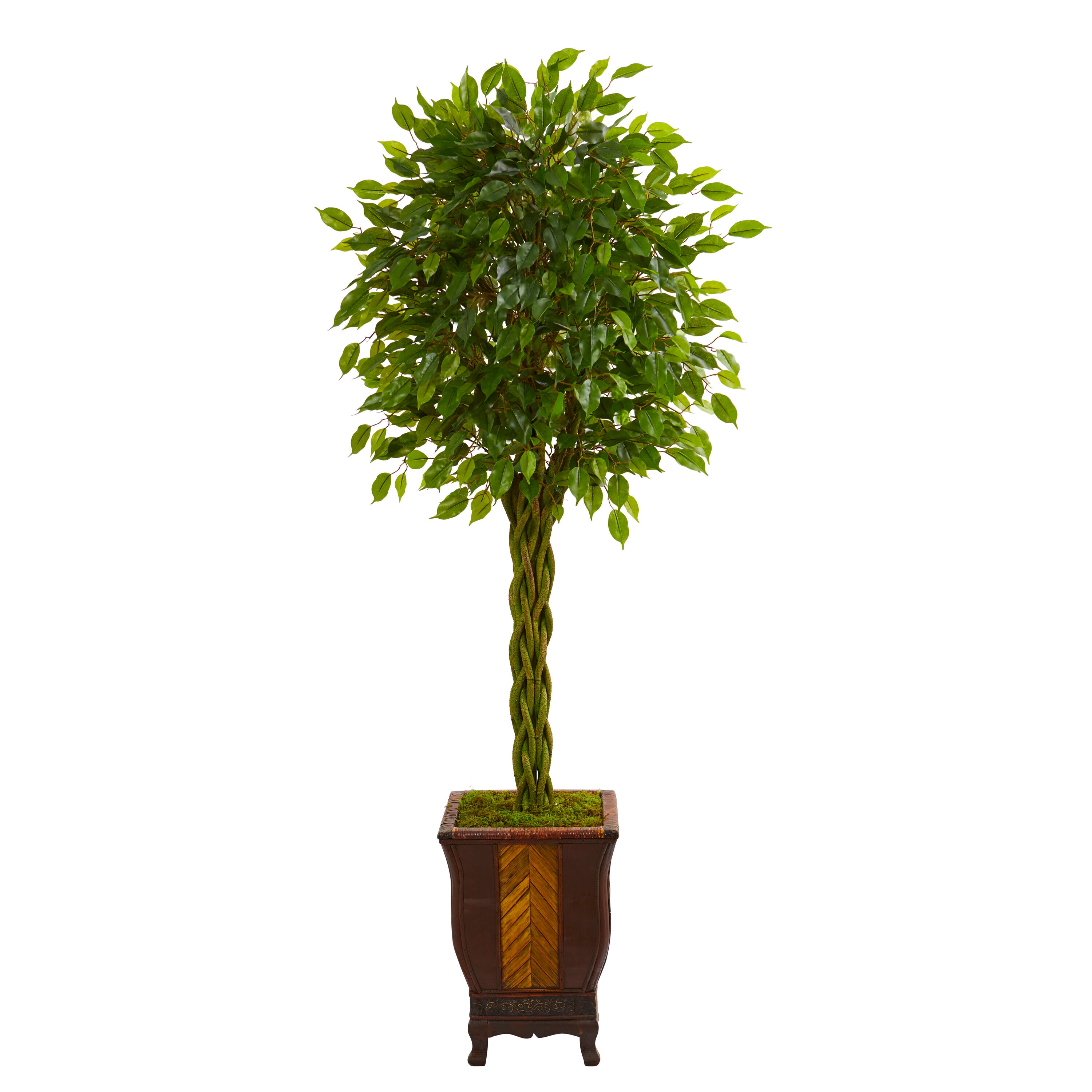  6-ft Braided Ficus Artificial Tree in Decorative Planter