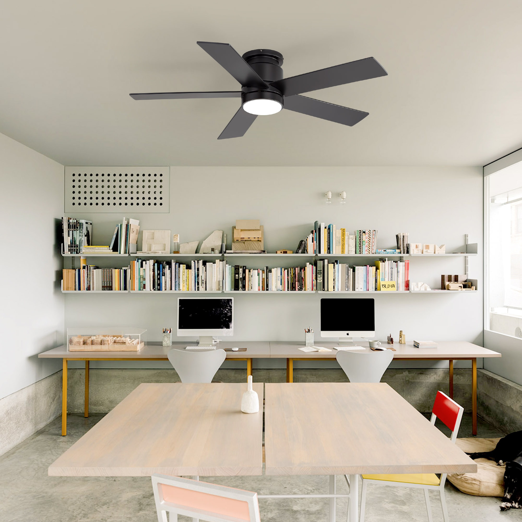 Flashwind A37ZY37014BK Ceiling-Fans - View #5