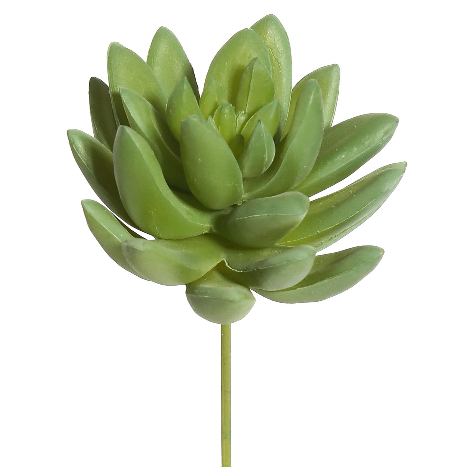 Vickerman FE170401-6 4.5-in Green Indoor Succulent Artificial Plant
