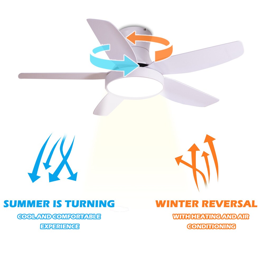 Yardreeze LWDO0503 Ceiling-Fans - View #5
