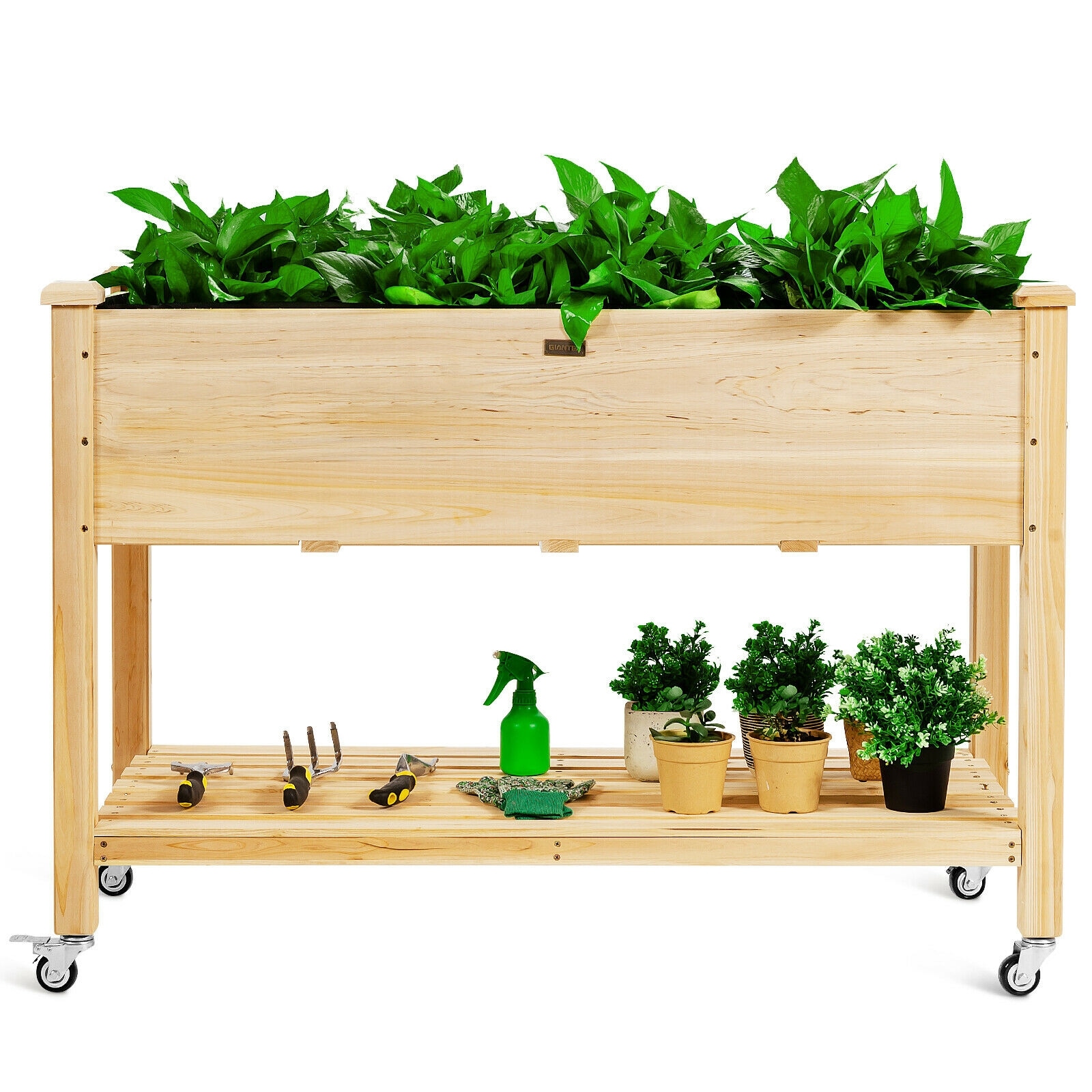 Image of Forclover Raised Garden Box at Lowe's