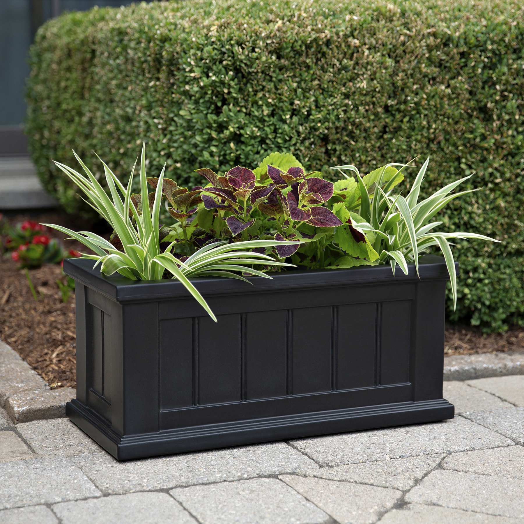 Mayne 24-in W x 11-in H Black Resin Traditional Outdoor Planter in