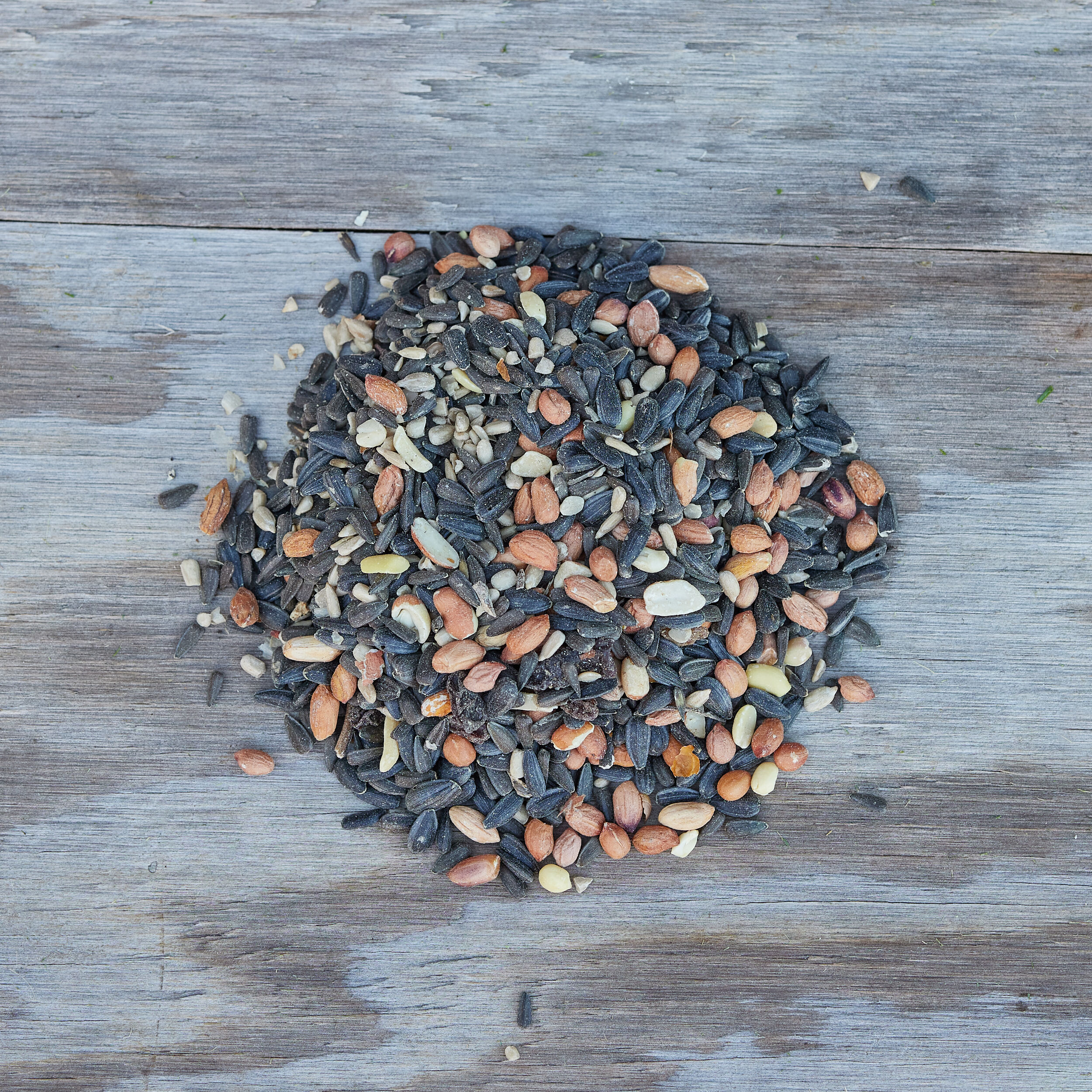 National Audubon Society 001693 Bird-Squirrel-Food - View #2