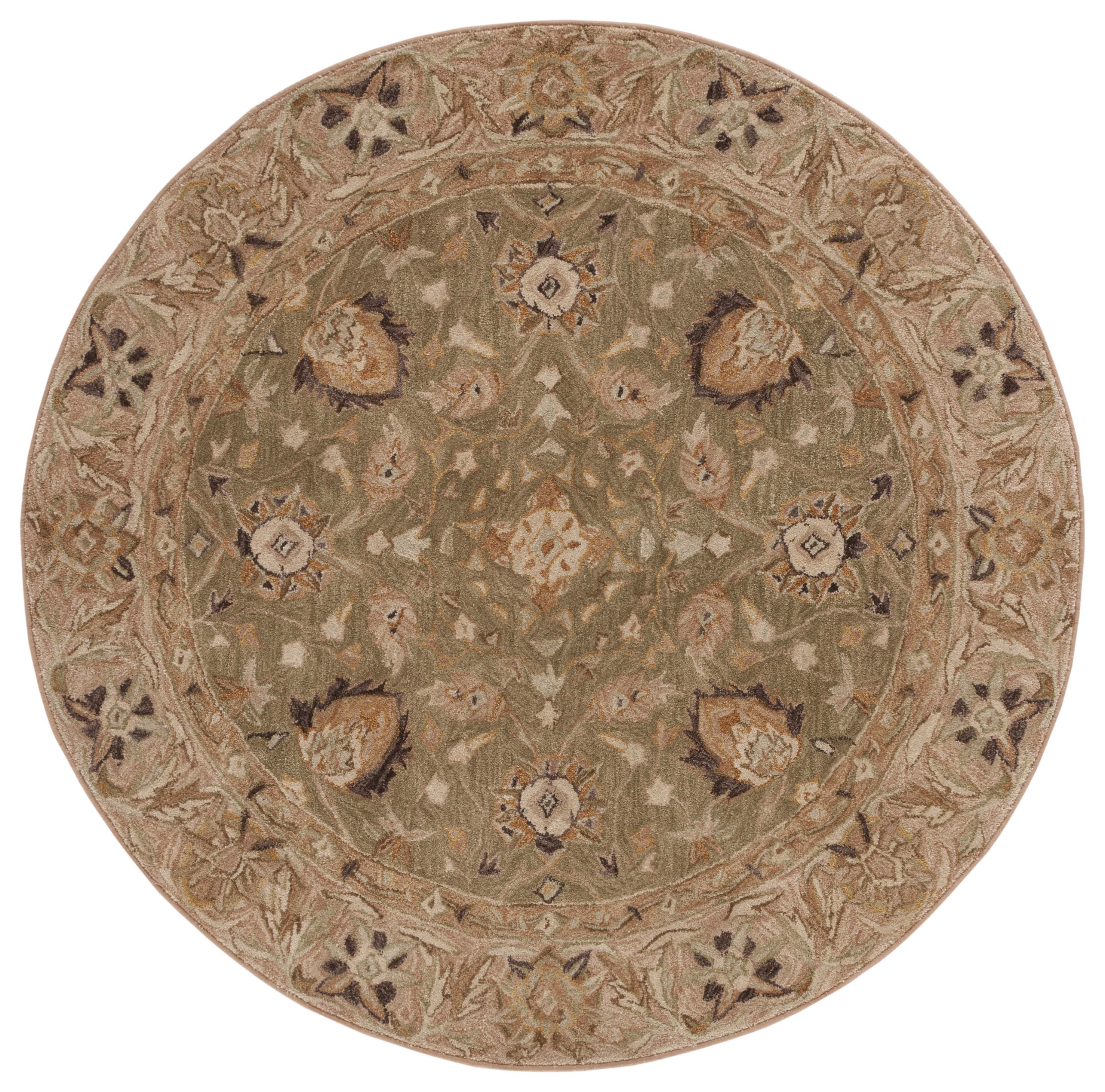 Safavieh AN512C-6R rugs - View #2