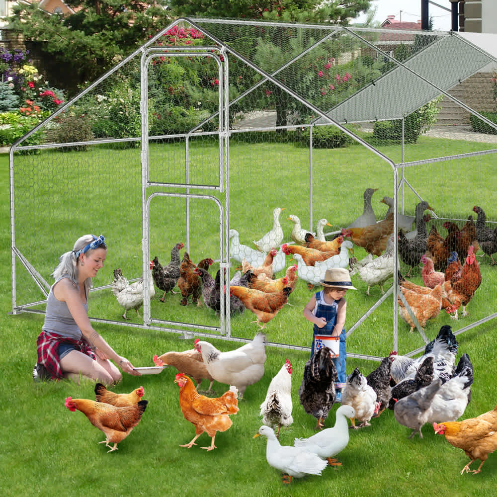Qeetex WLS-PHO-15UBN4N2 Chicken-Coops-Rabbit-Hutches - View #6