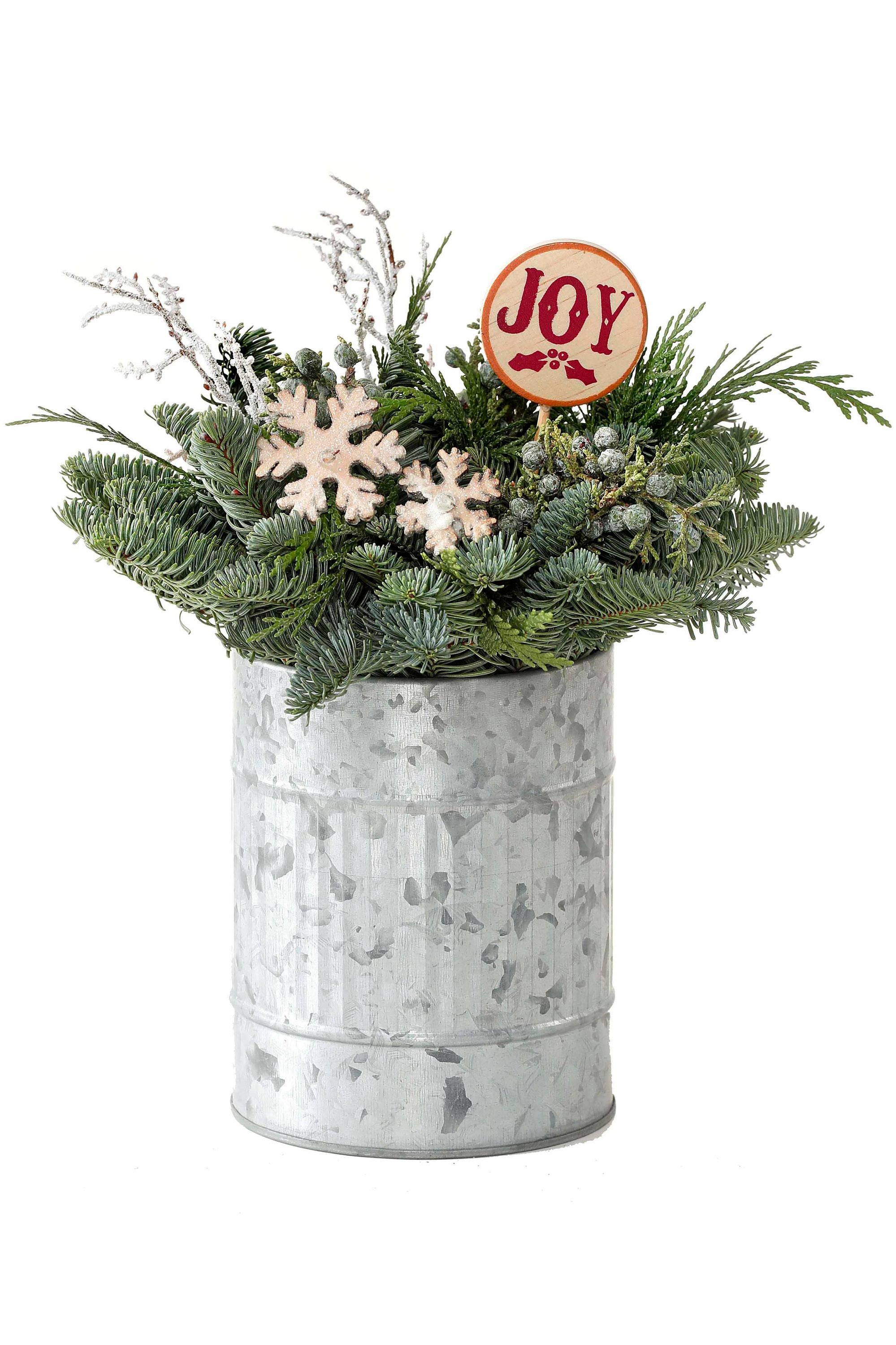 Fresh Christmas Potted Greenery at Lowes.com