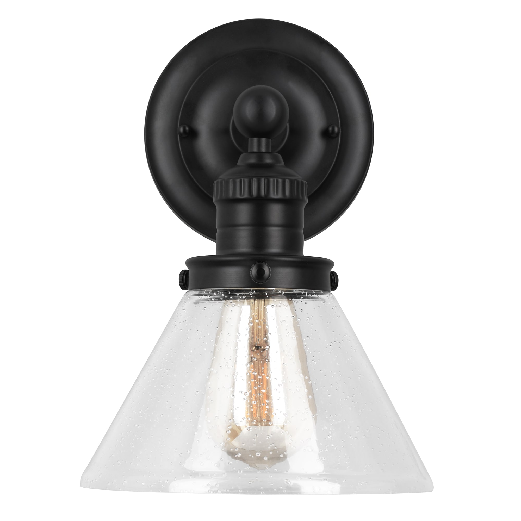 Matte Black Glass Wall Light with Seedy Shade