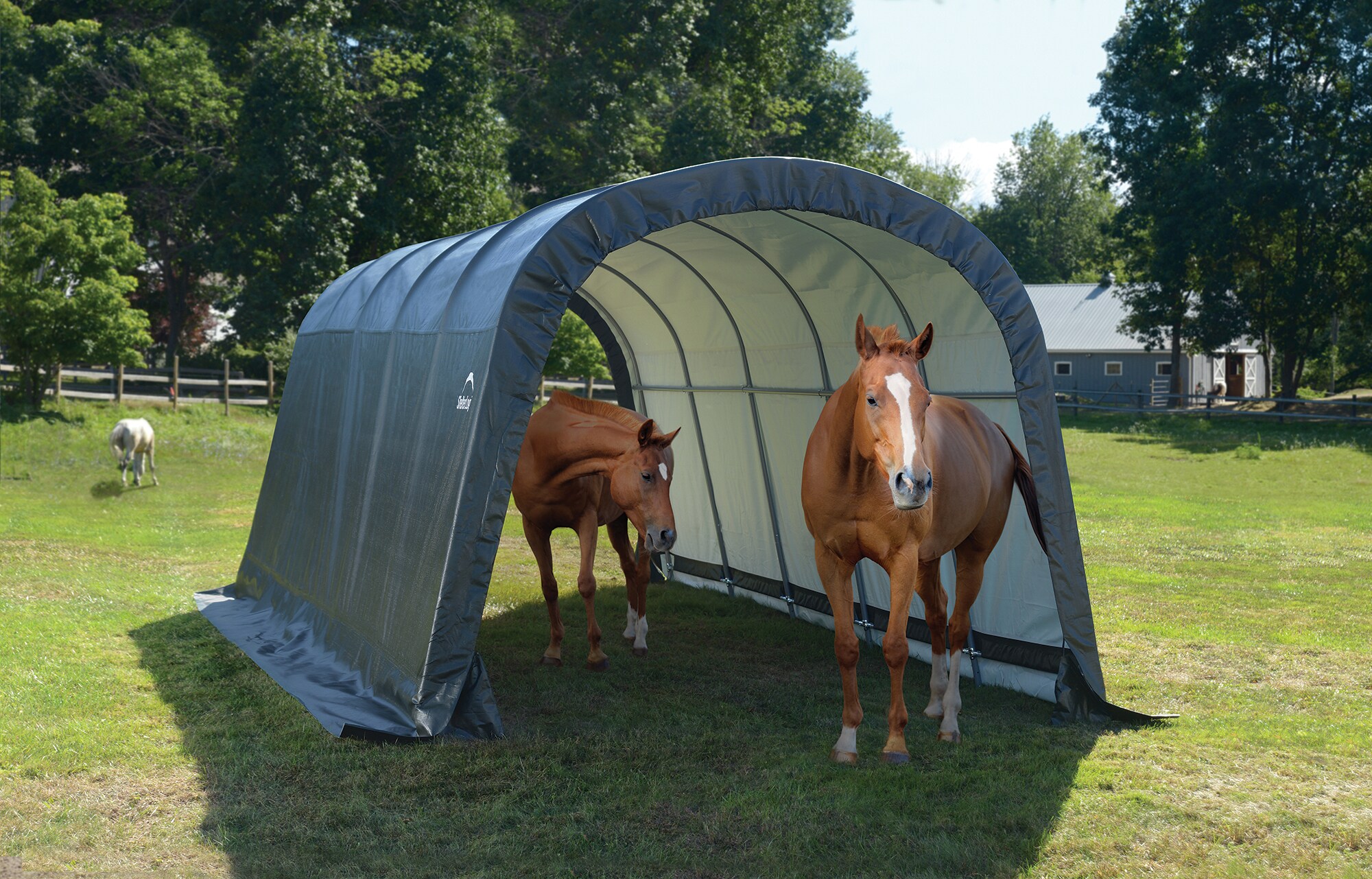 ShelterLogic 51376  - View #2