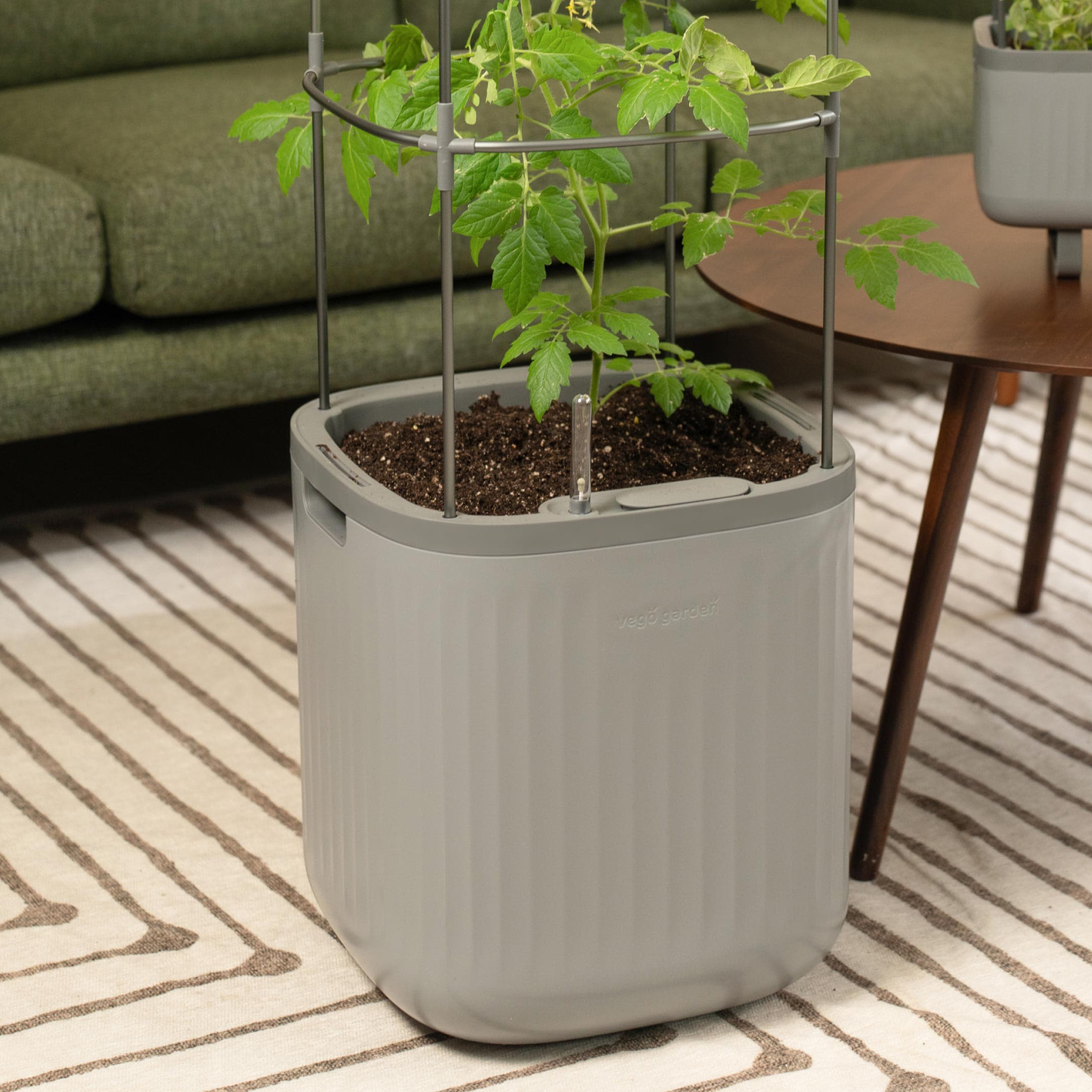 Vego Garden VPTPGY Planter-Window-Box - View #6