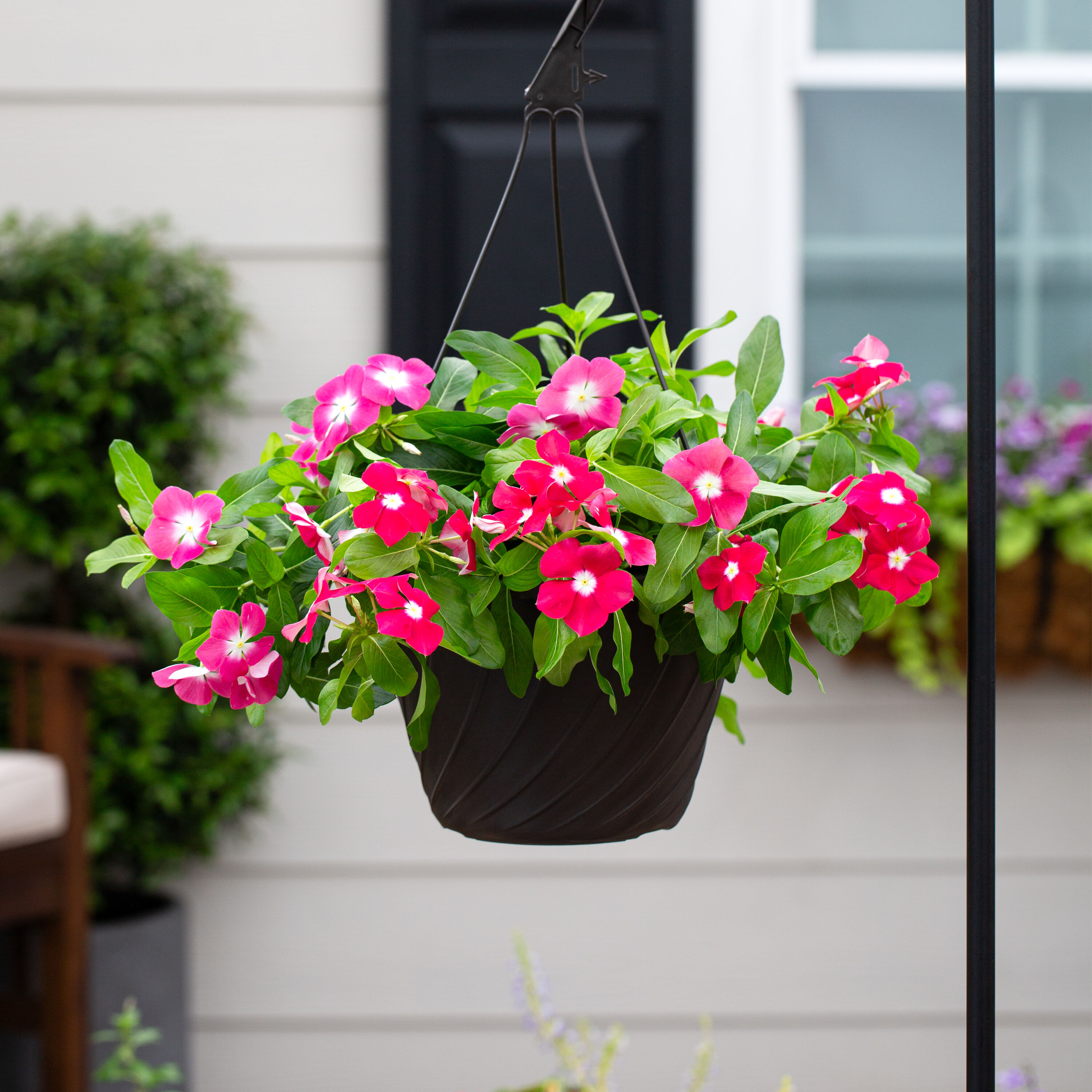 bug spray for plants indoor GardenSafe Houseplant & Garden Insect Killer