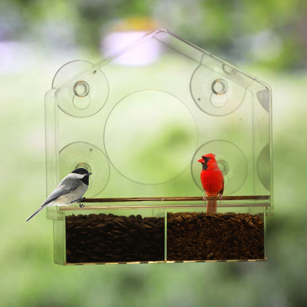 Window-Mount See-Through Clear Plastic Bird Feeder