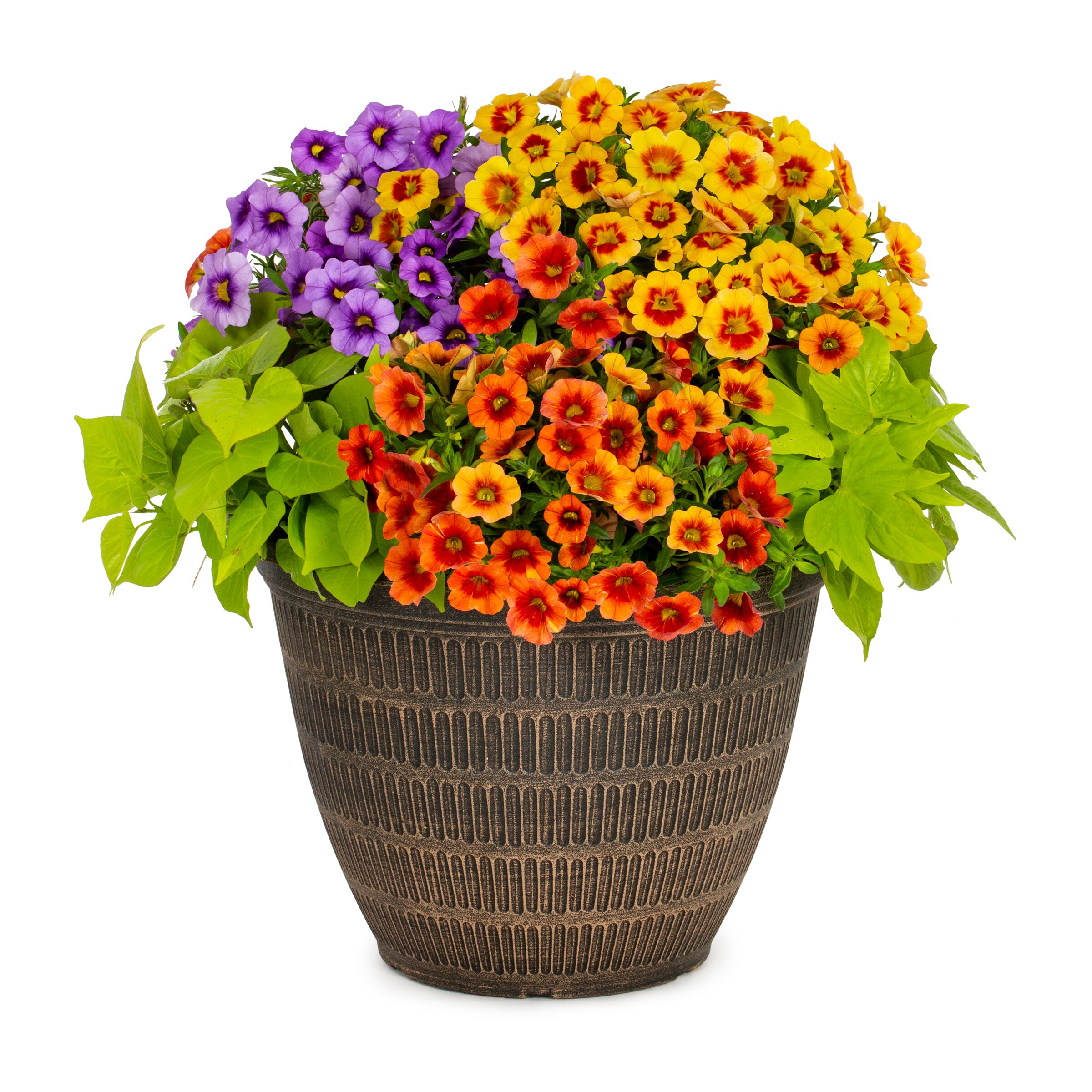 Lowe's NURSERY Multicolor Mixed Annuals in 2.5-Gallon Planter