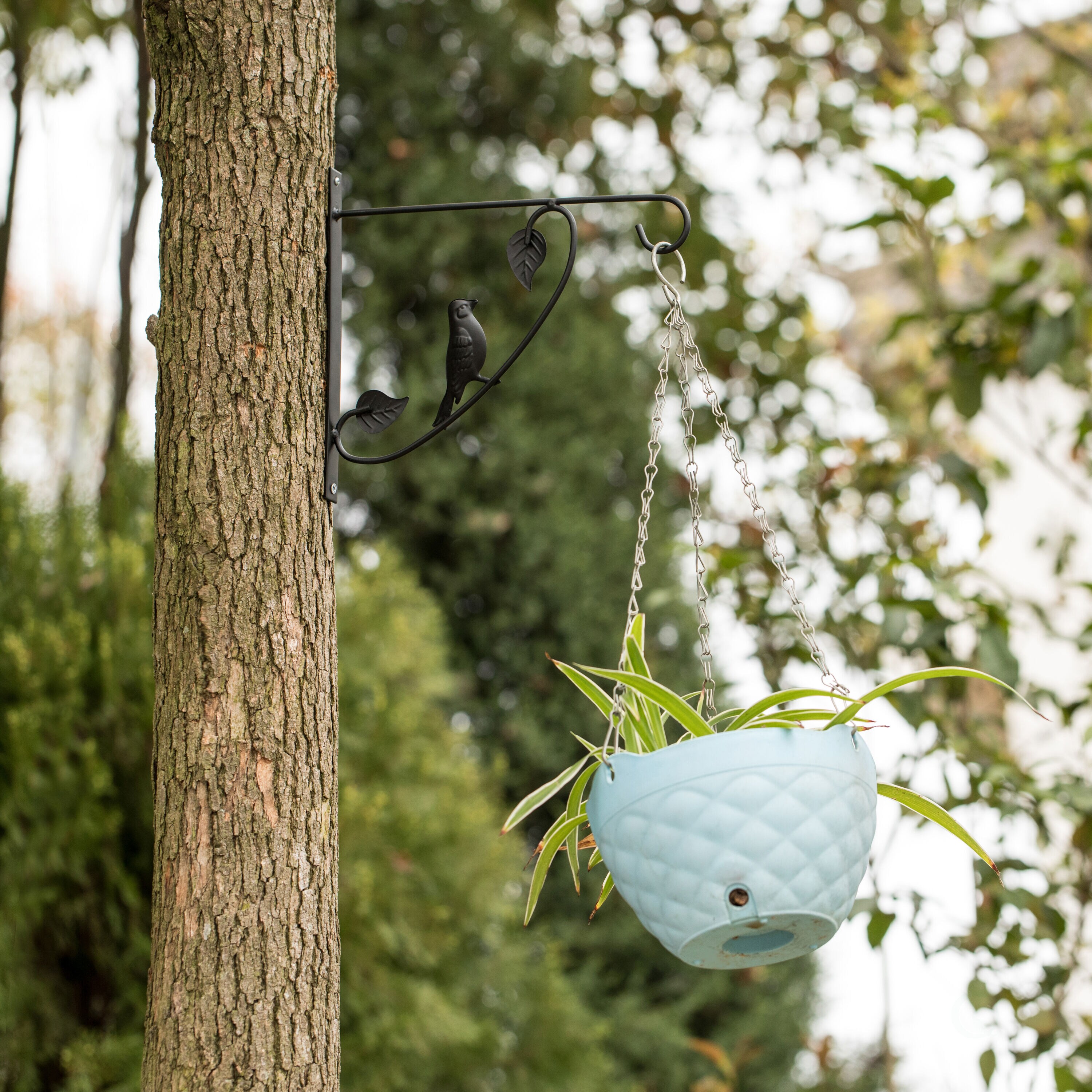 Gardenised QI004482.2 Plant-Hooks - View #6