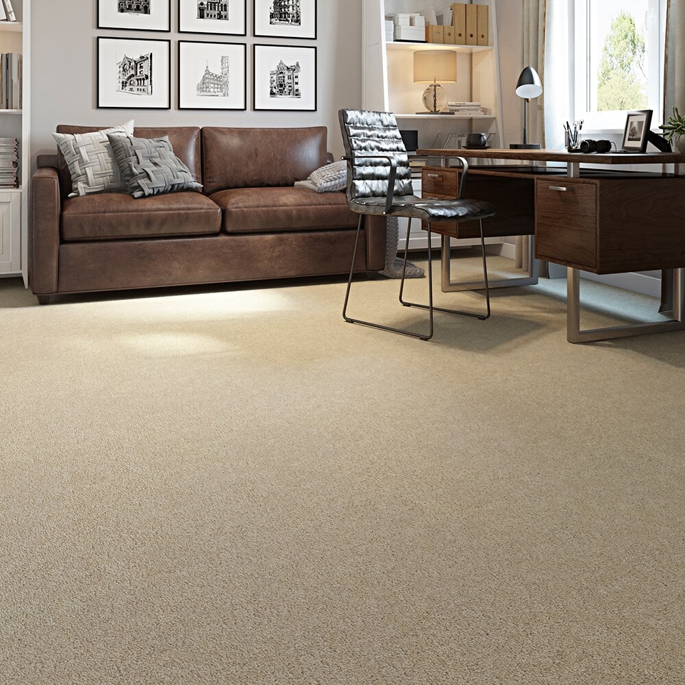 STAINMASTER STP44-12-L008 Carpet-Panel - View #3