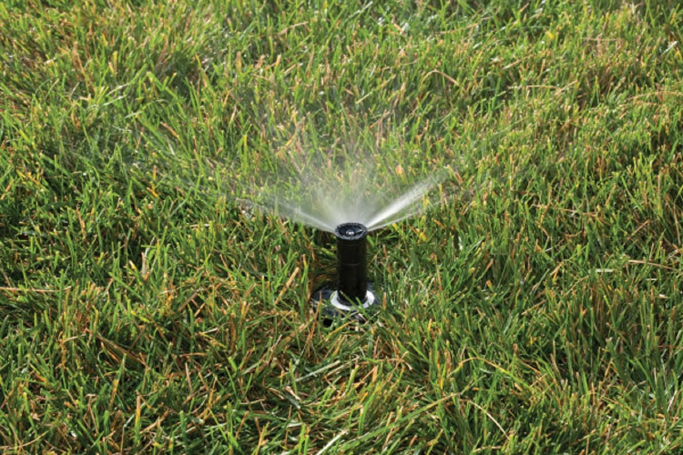 Rain Bird 8-ft- 15-ft Half-circle Spray 2-in Pop-up Spray Head ...