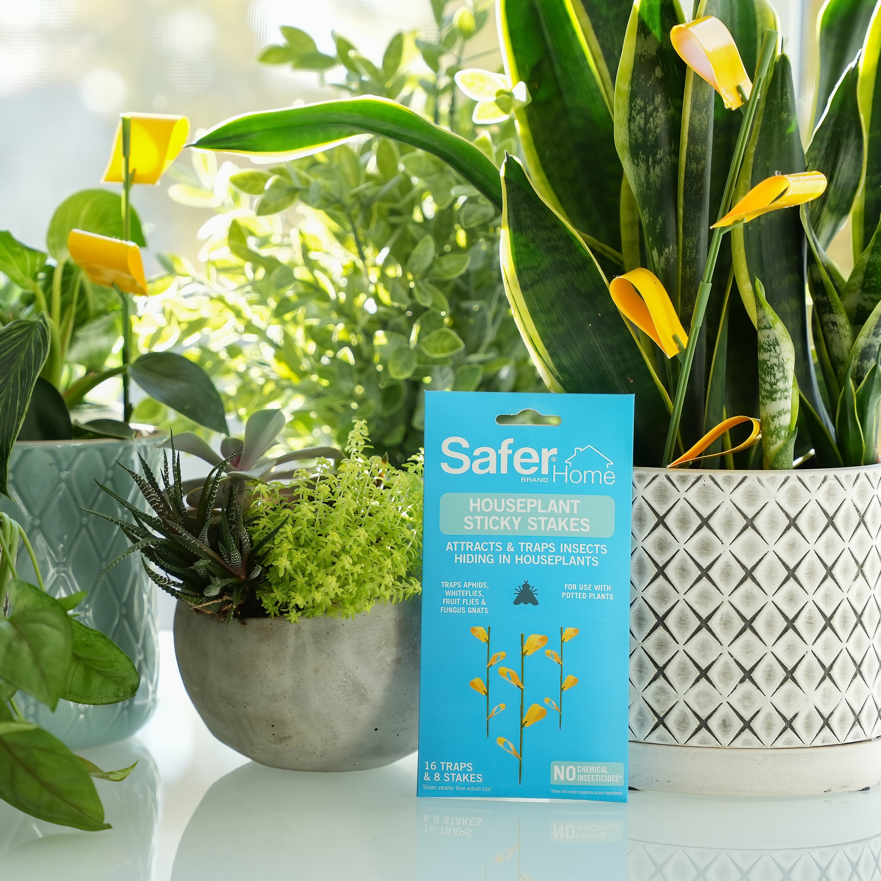 Safer Brand SH5026 repellents - View #4